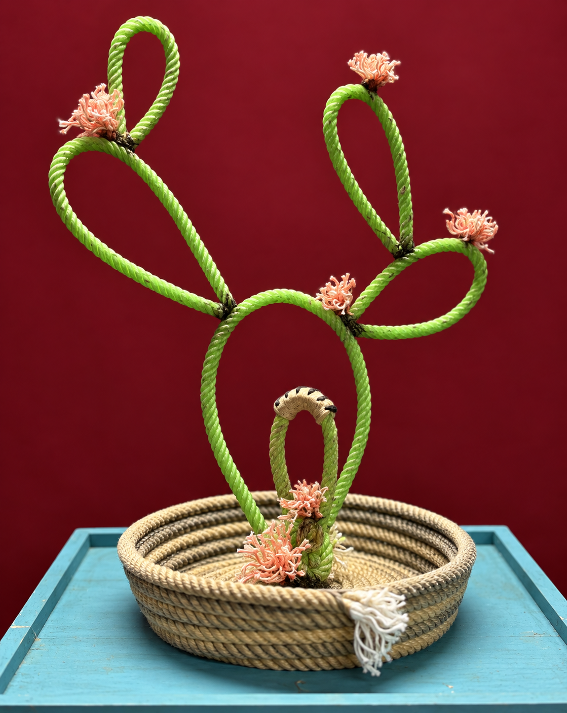 Rope Cactus in a Coiled Basket.png