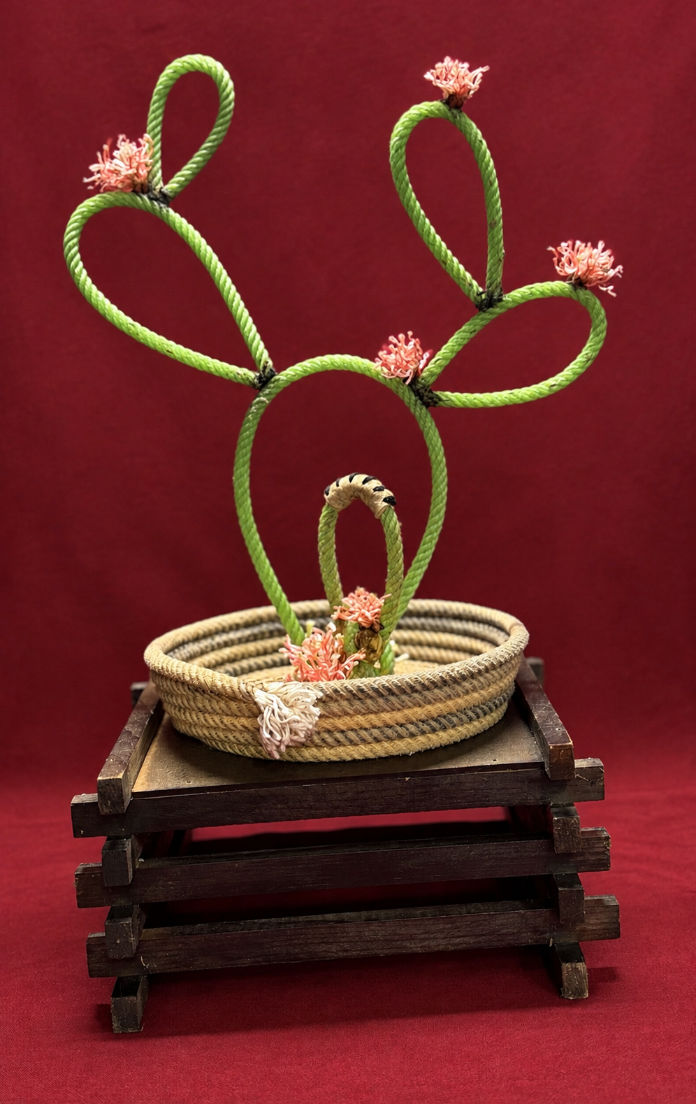 Large Handmade Lariat Rope Cactus
