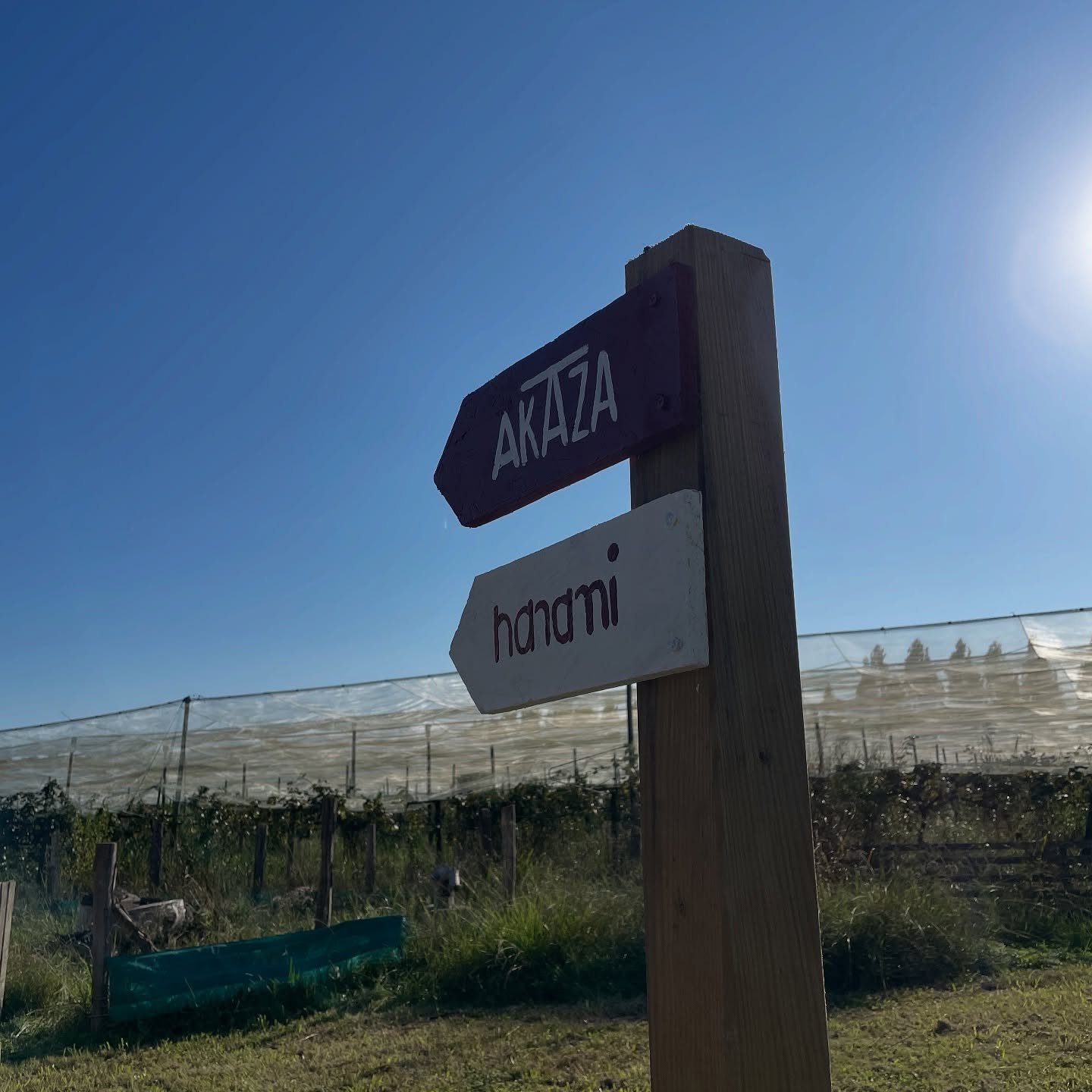 Envie de prolonger votre pause d&eacute;tente? 💆&zwj;♀️

C&rsquo;est maintenant possible, vous pouvez r&eacute;server une ou plusieurs nuits au g&icirc;te Maison Akaza 🏡

Un lieu atypique et plein de charme qui invite &agrave; la d&eacute;connexion