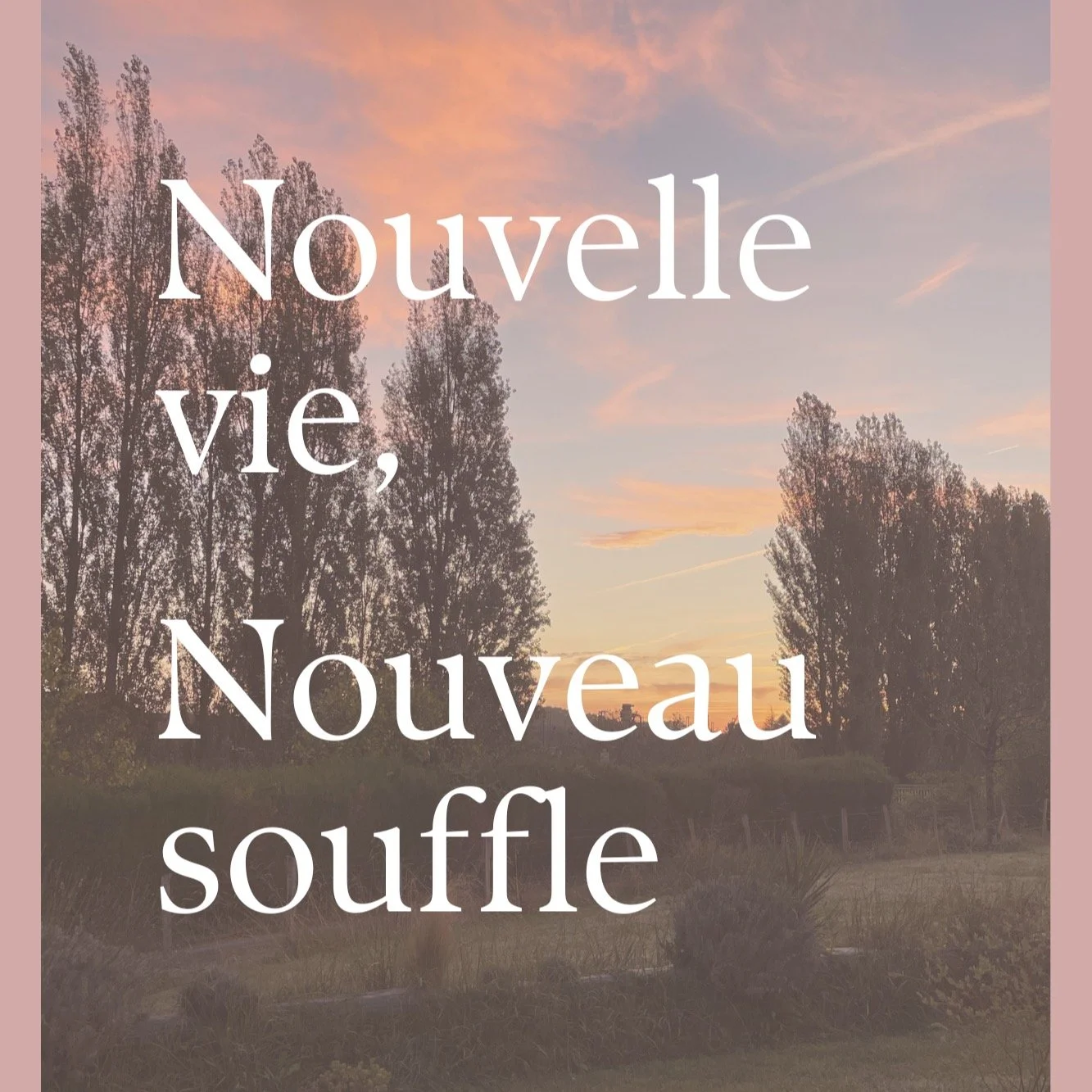 🌿Je suis heureuse de vous accueillir &agrave; Peyrehorade! 
❤️ de la Vall&eacute;e du Kiwi 🥝
o&ugrave; hanami Soins 🌸et Maison Akaza 🏡prennent vie

#vall&eacute;edukiwi #landestourisme #gitedecharme #massagerelaxant