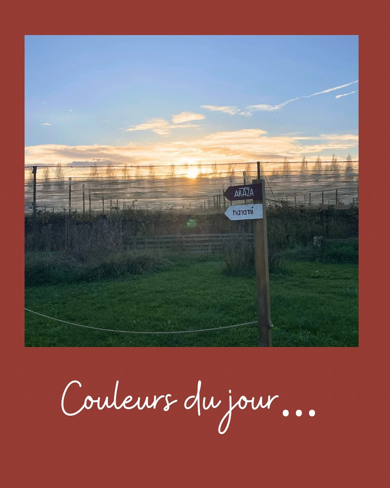 Couleurs du jour 🌿🍁

#landestourisme #natureapaisante