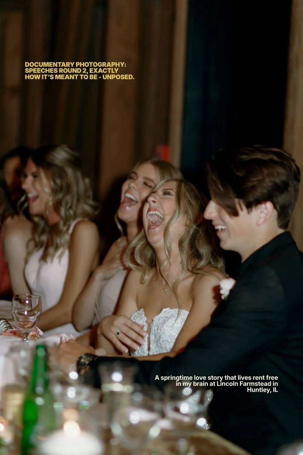 Documentary Wedding Photography — Reception Speeches at Lincoln Farmstead Huntley IL