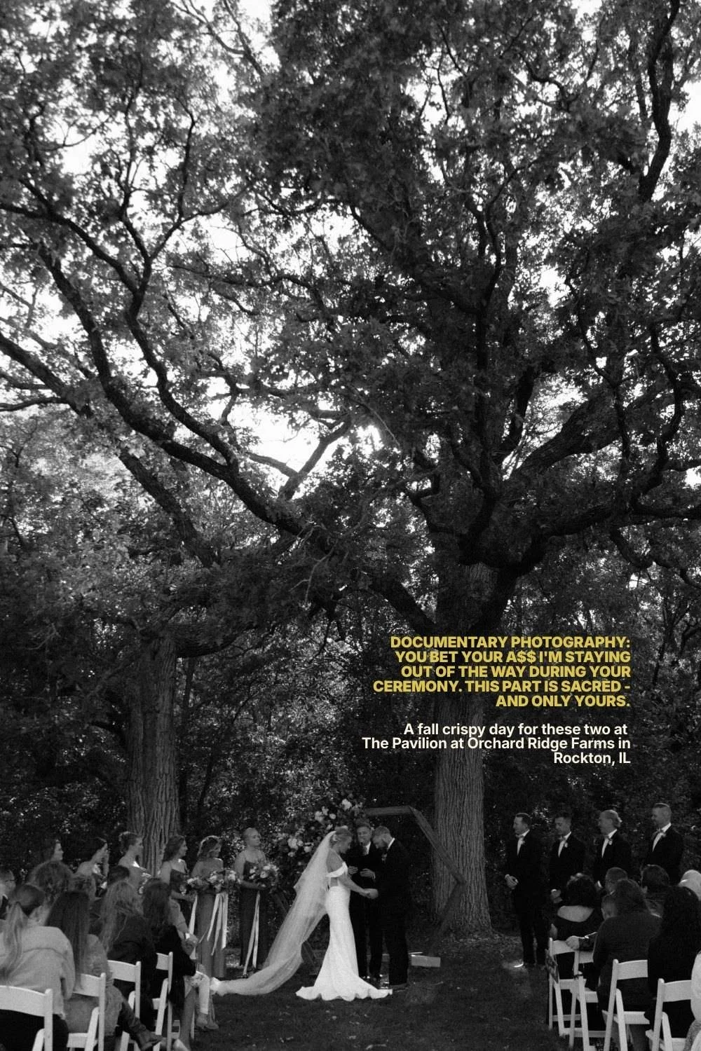 Documentary Wedding Ceremony Photography — Orchard Ridge Farms Rockton IL