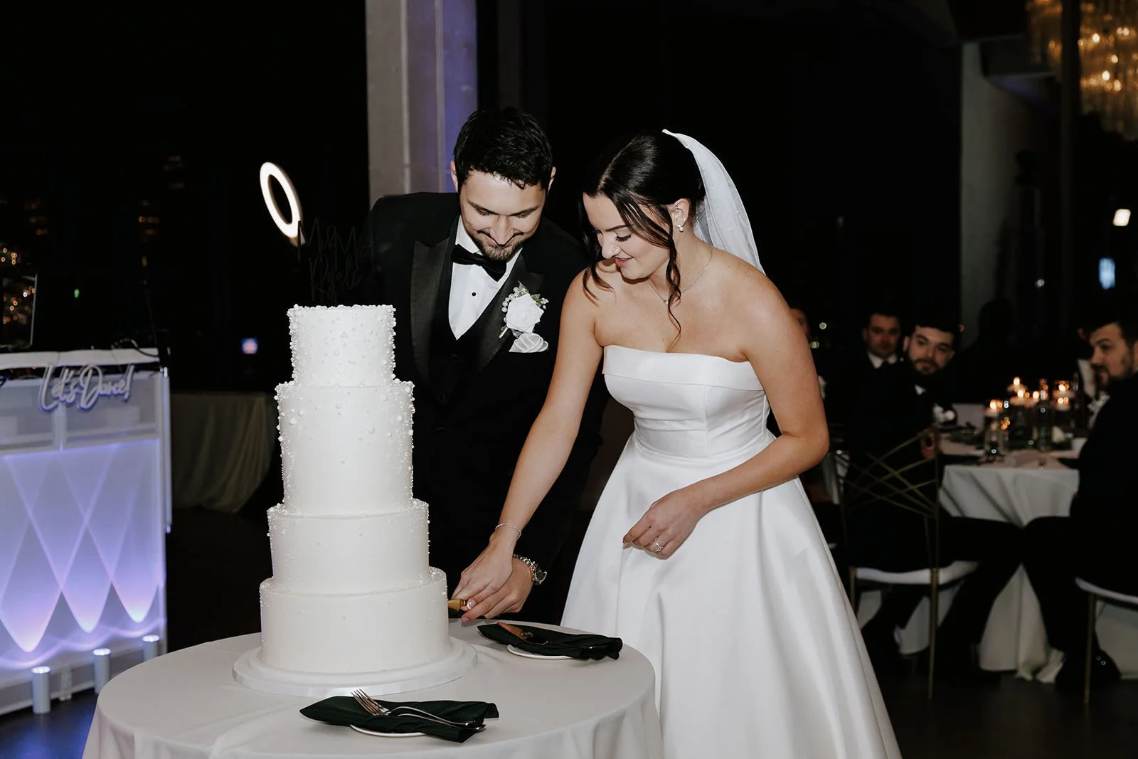 ashley-and-cole-wedding-sky-on-nine-rosemont-illinois-115.jpg