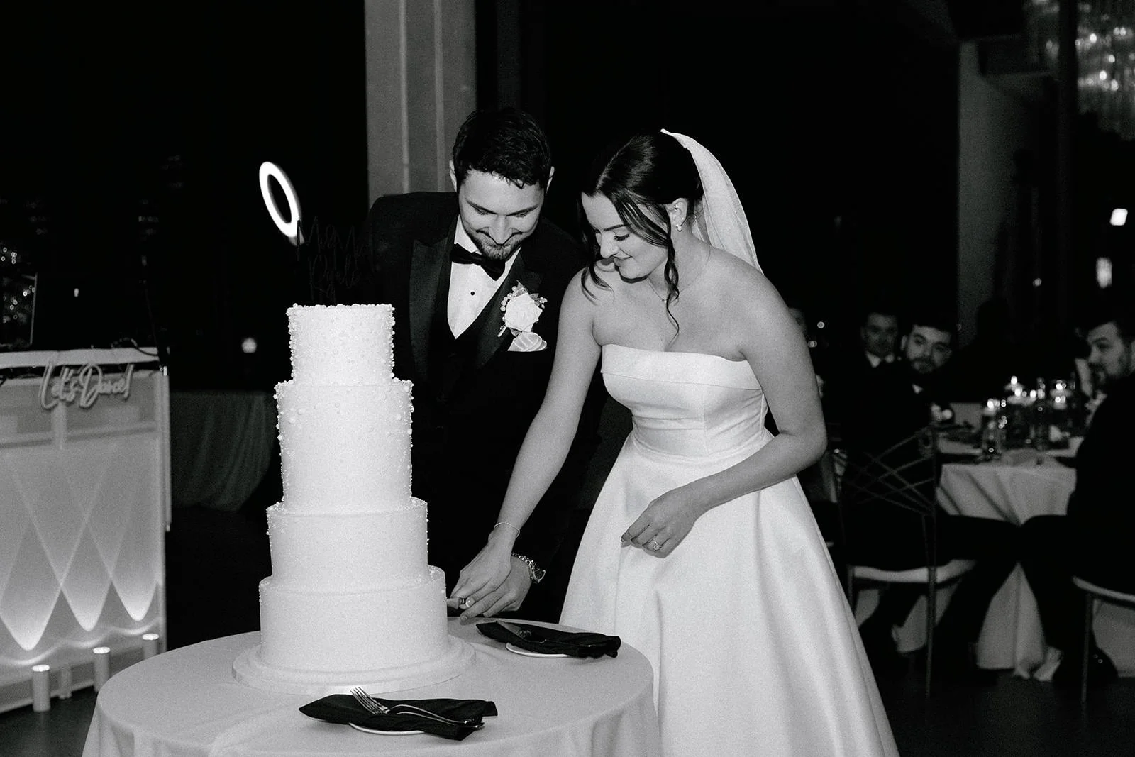 ashley-and-cole-wedding-sky-on-nine-rosemont-illinois-116.jpg
