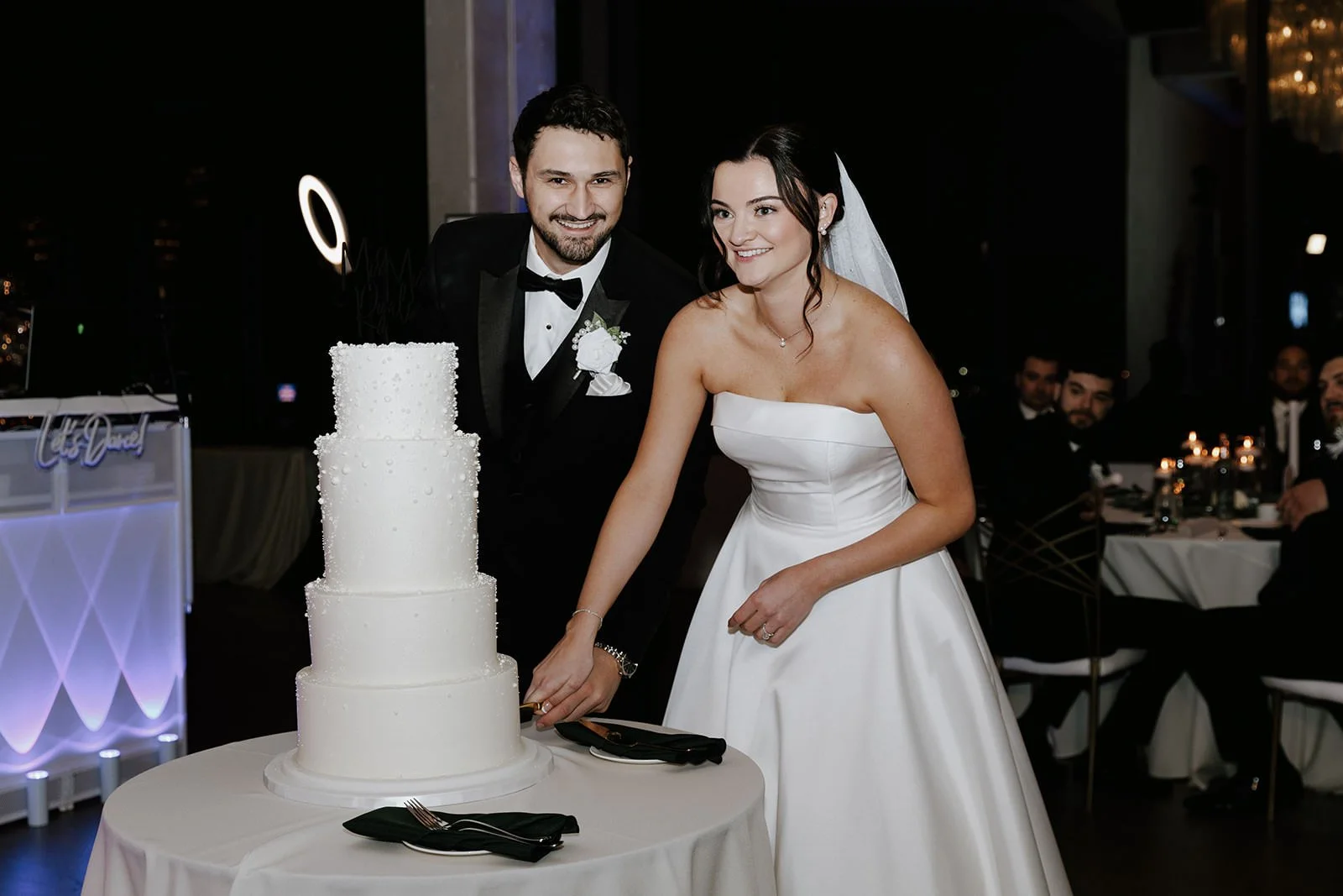 ashley-and-cole-wedding-sky-on-nine-rosemont-illinois-117.jpg