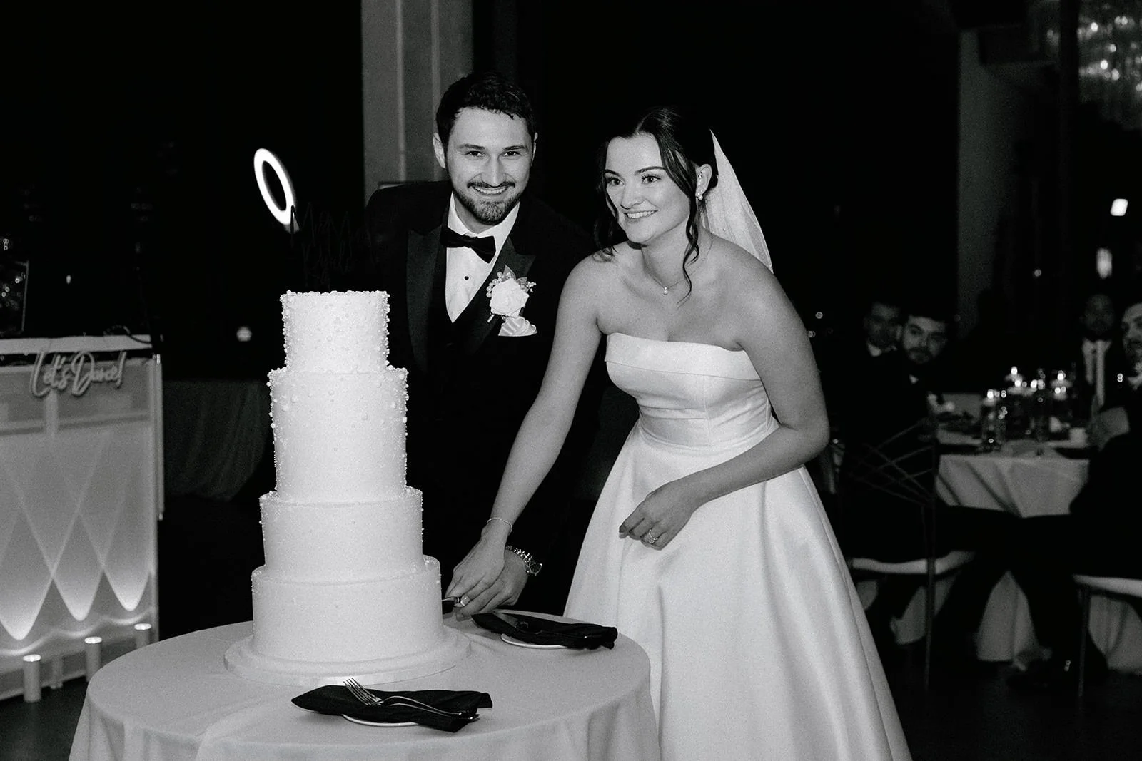 ashley-and-cole-wedding-sky-on-nine-rosemont-illinois-118.jpg