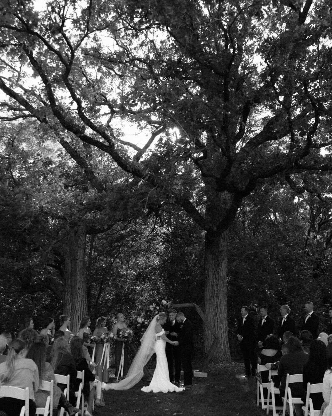 Outdoor wedding ceremony under large oak trees at a Chicago Illinois wedding, photographed by McHenry County Illinois wedding photographer Nicole Kilday