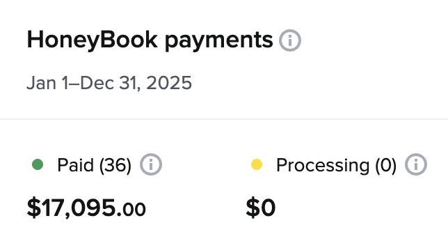 HoneyBook payment report showing $17,095 in photography revenue for the full year of 2025 — before Nicole Kilday implemented her SEO and AI Visibility Framework