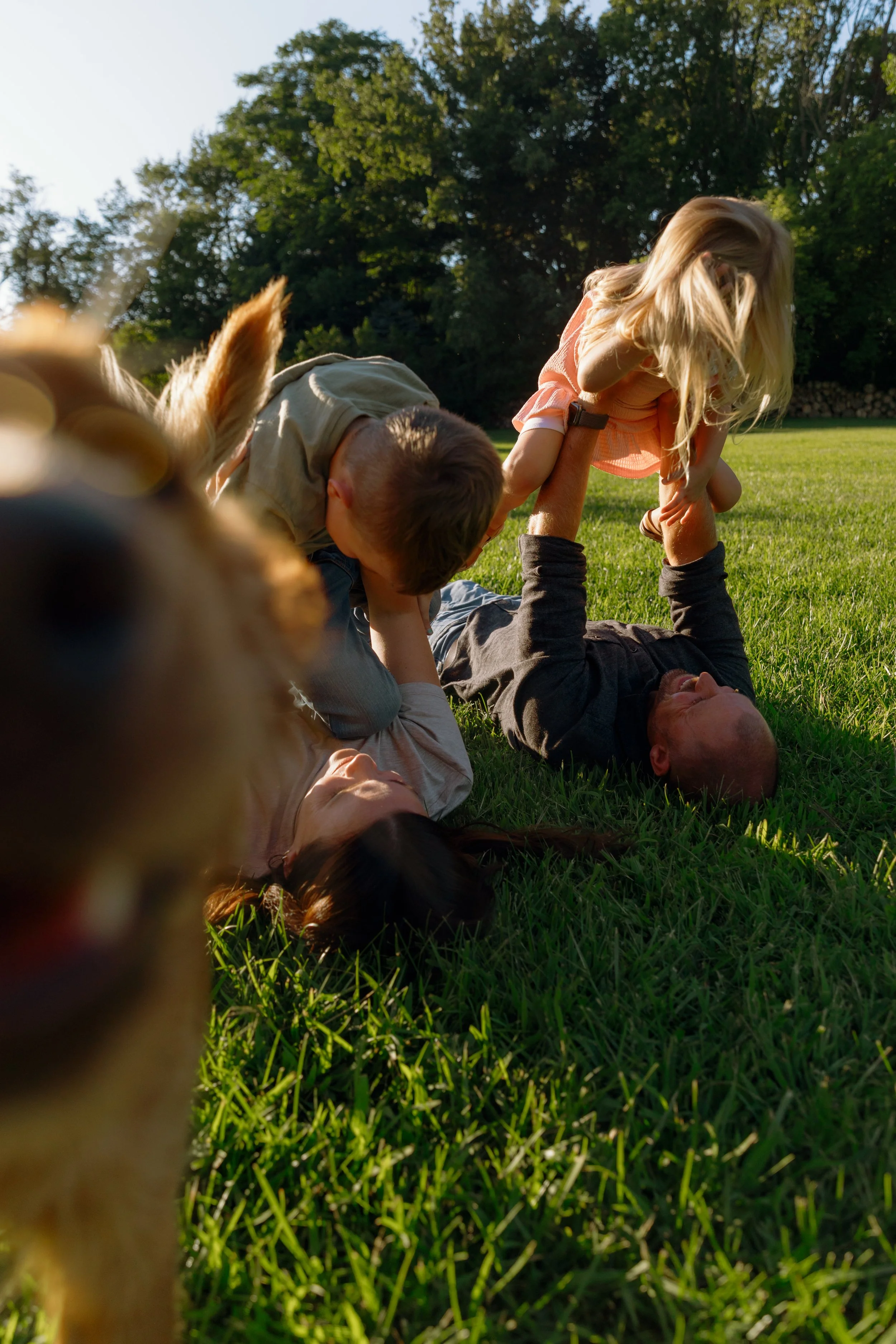 Documentary family photography session in McHenry County, Illinois with parents laying in the grass playing with their children outdoors during golden hour with the family dog photo-bombing.