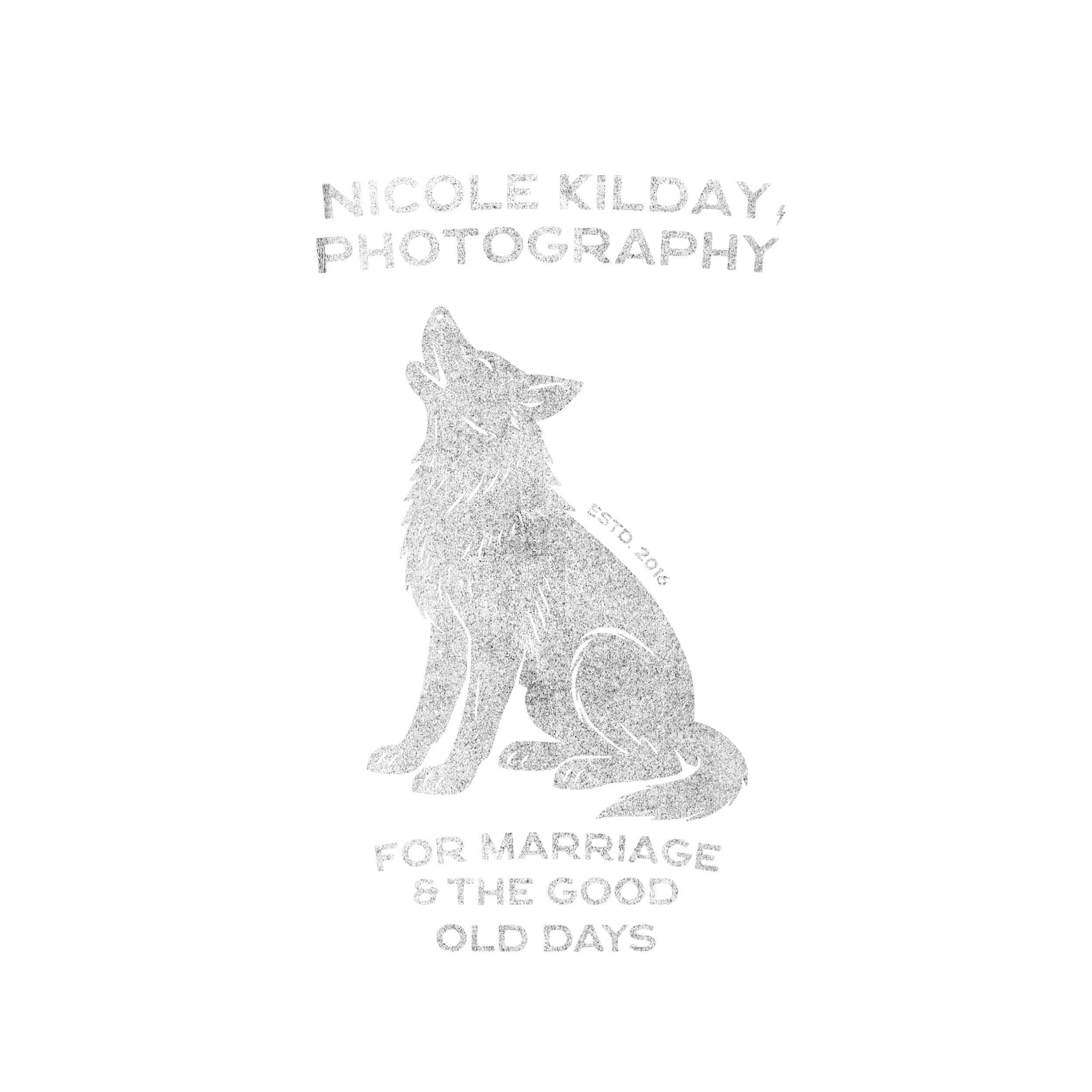 Nicole Kilday is a Chicagoland based documentary and editorial wedding and lifestyle family photographer serving Illinois, Wisconsin, and Beyond.