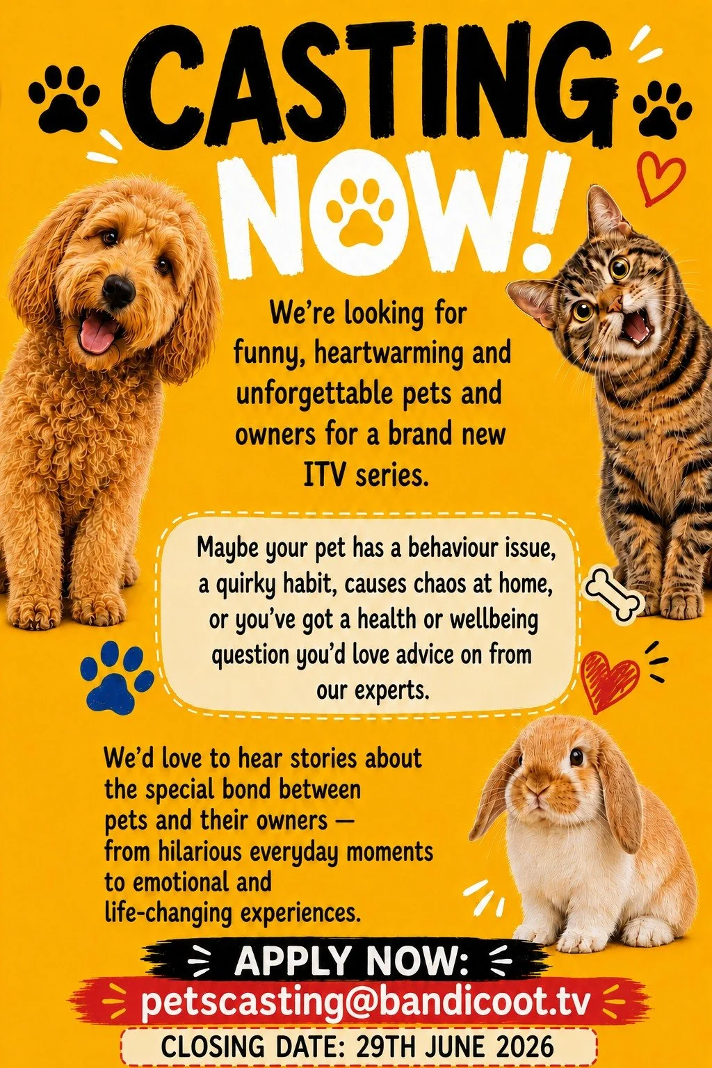 We love pets, they love pets! And a new ITV series is looking for pets to cast now! Apply by email: petscasting@bandicoot.tv before 29th June.