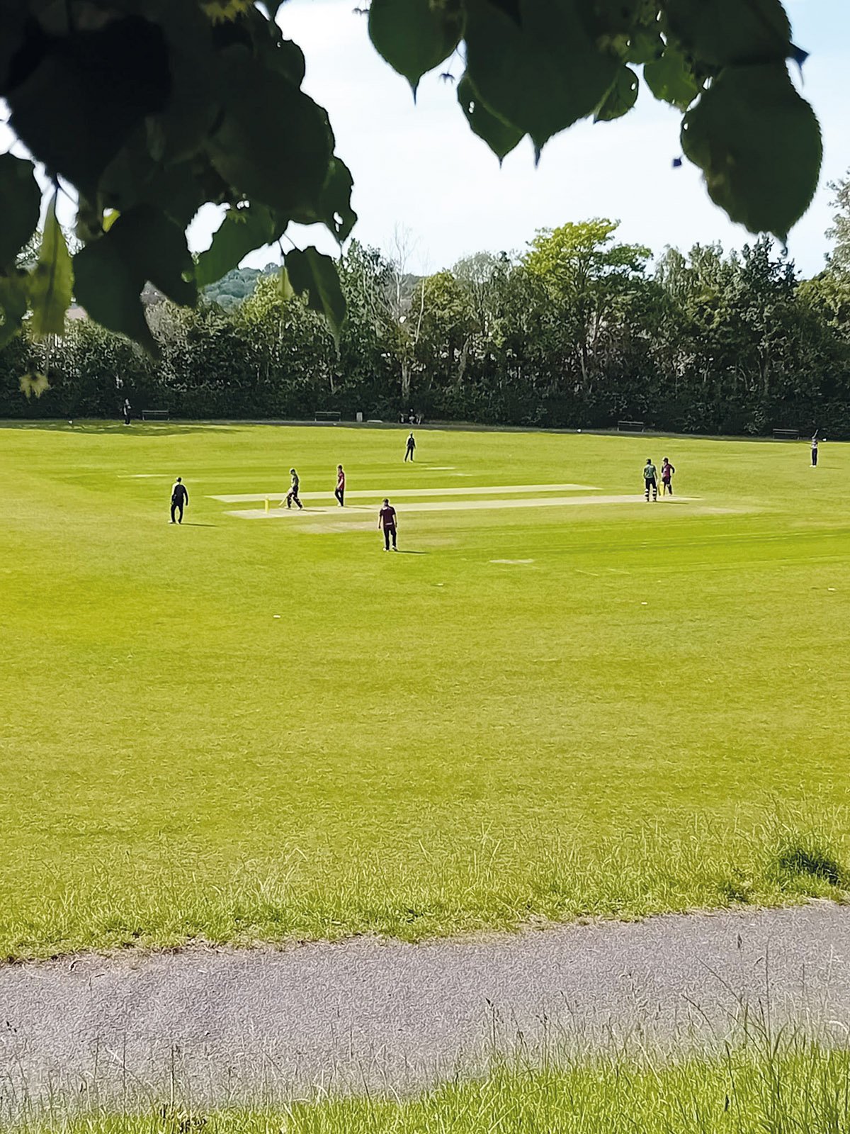 cricket Lydia Turner Haywards Heath Life.jpg
