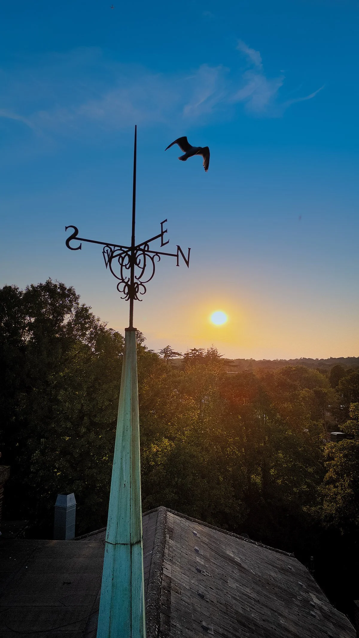 Haywards Heath Aug cover image.jpg