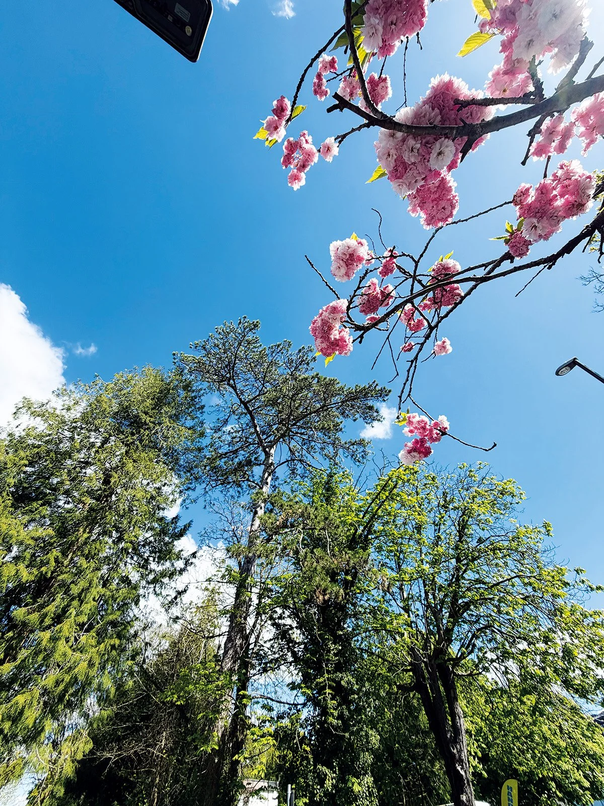 Haywards Heath Life May cover image.jpg