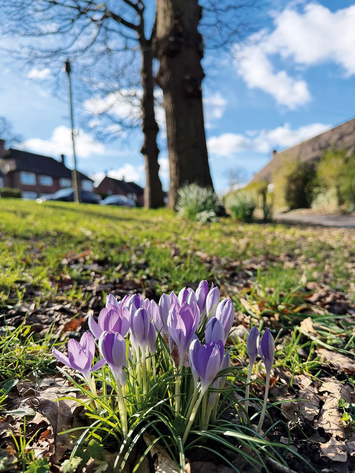 washington road IMG_1266 David Tingley.jpg