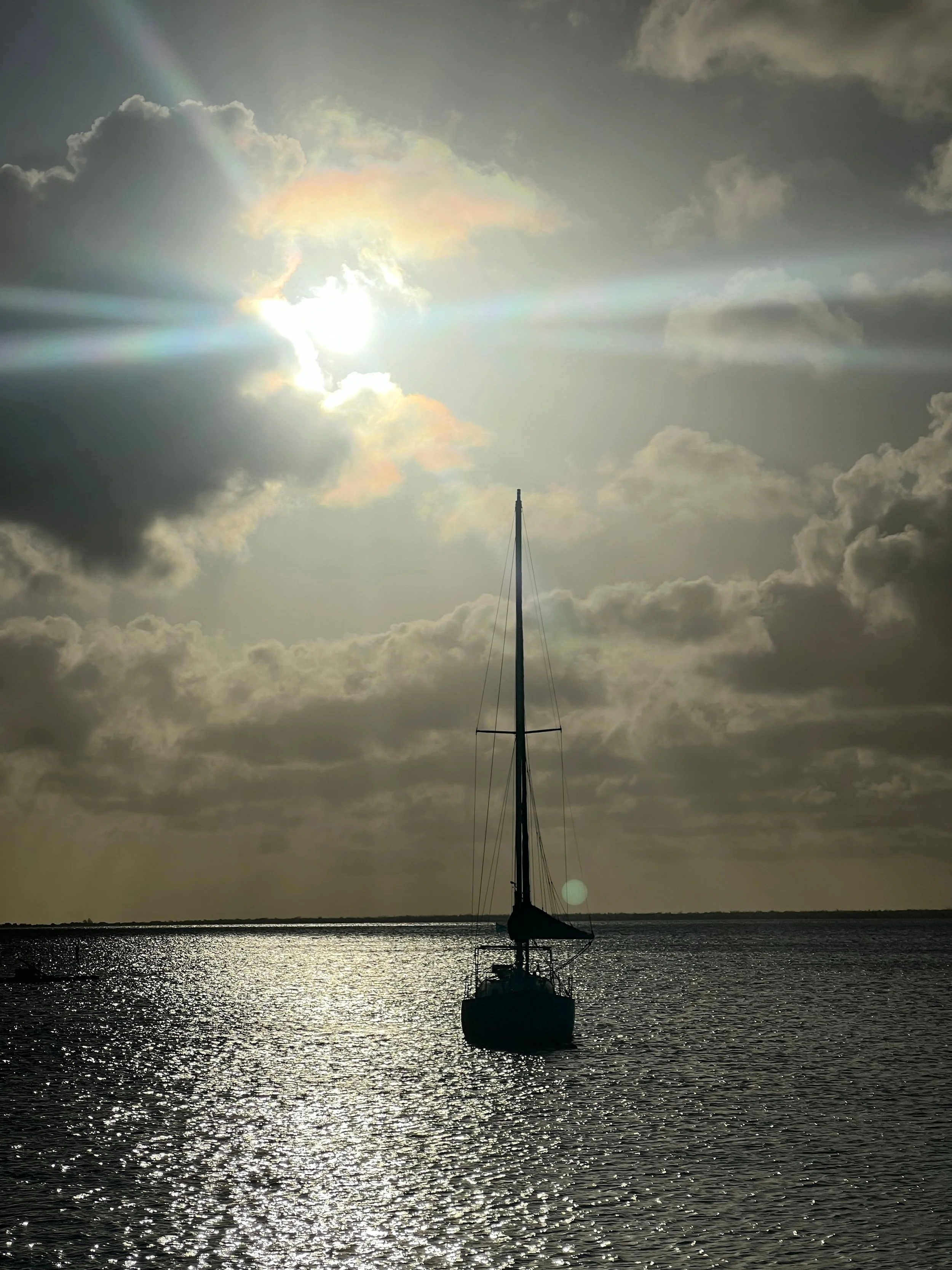 IMG_3392.jpeg