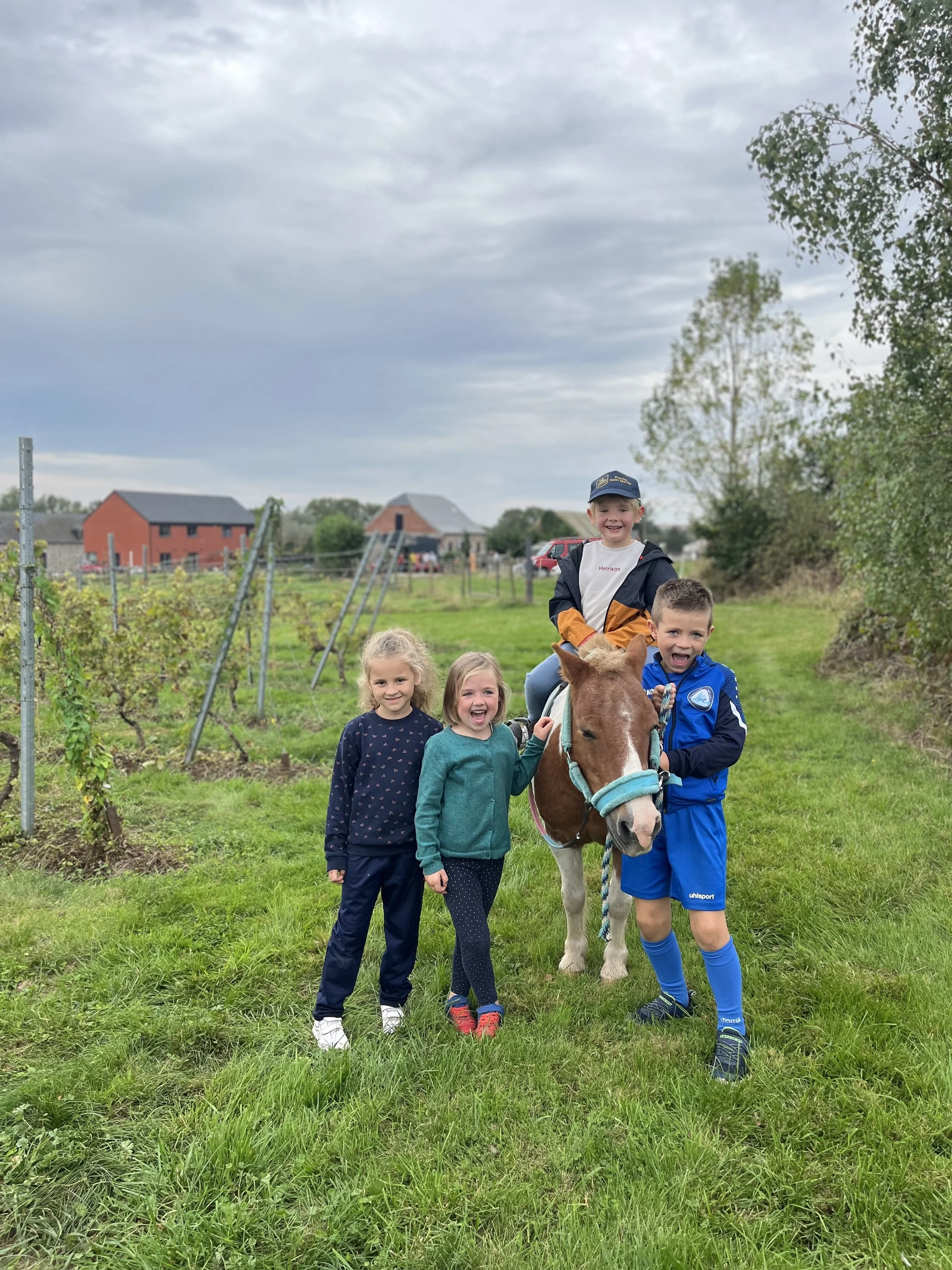 Groupe d'enfants avec un cheval dans un champ, avec des maisons en arrière-plan et un ciel nuageux.