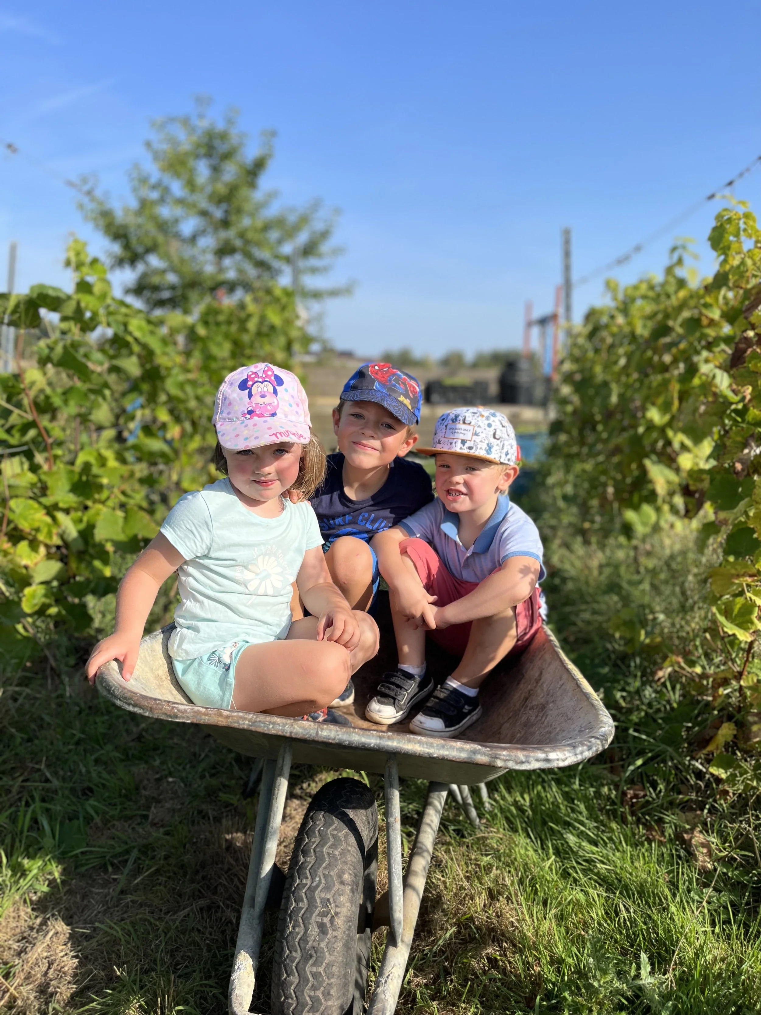 Trois enfants souriants assis dans une vieille brouette en plein air, entourés de verdure et de plantes, avec un ciel bleu clair en arrière-plan.