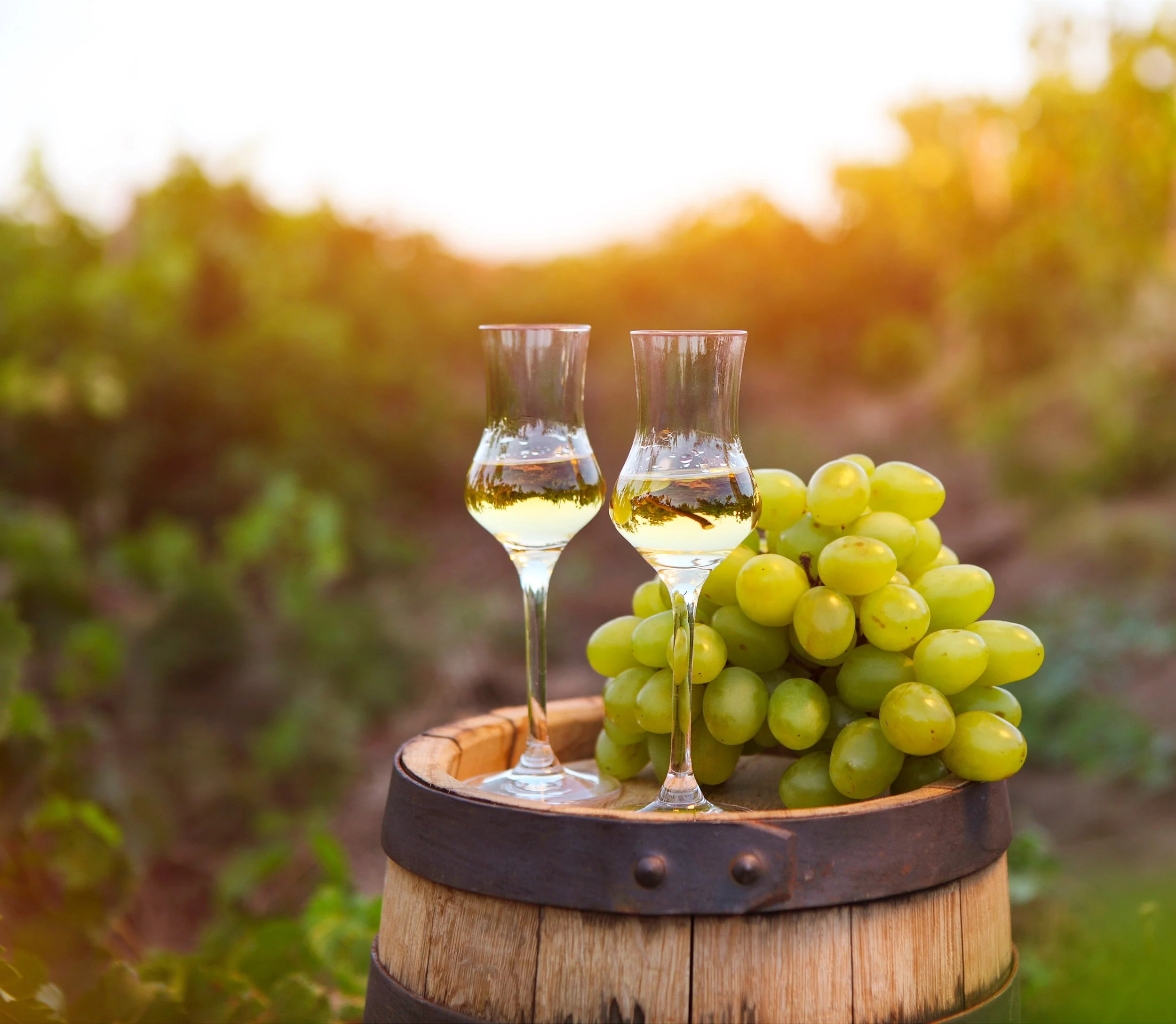 Deux verres à vin remplis de vin blanc, une grappe de raisin vert à côté, tout cela sur une petite table en bois dans un vignoble en arrière-plan avec des feuilles dorées