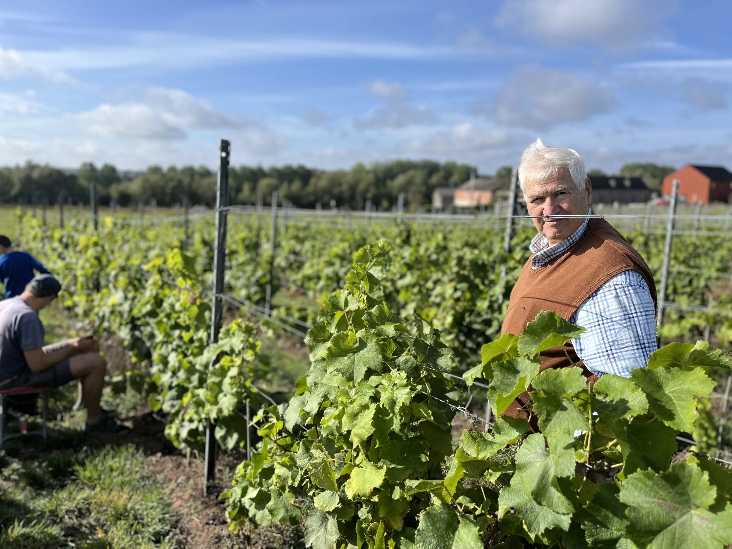 Un homme âgé dans un vignoble, portant un pull marron et une chemise, avec un ciel partiellement nuageux en arrière-plan.