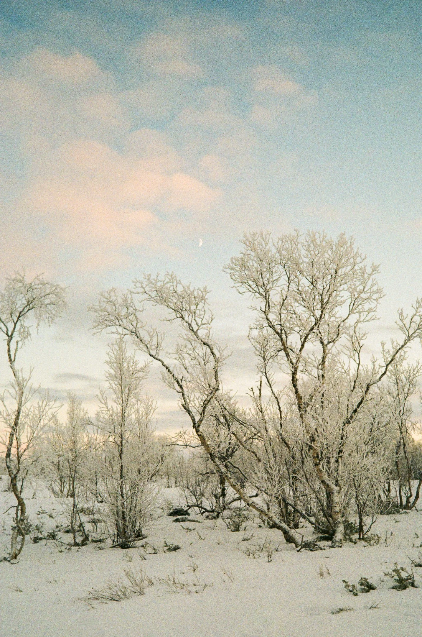 Filmit Nuorgam002471890003.jpg