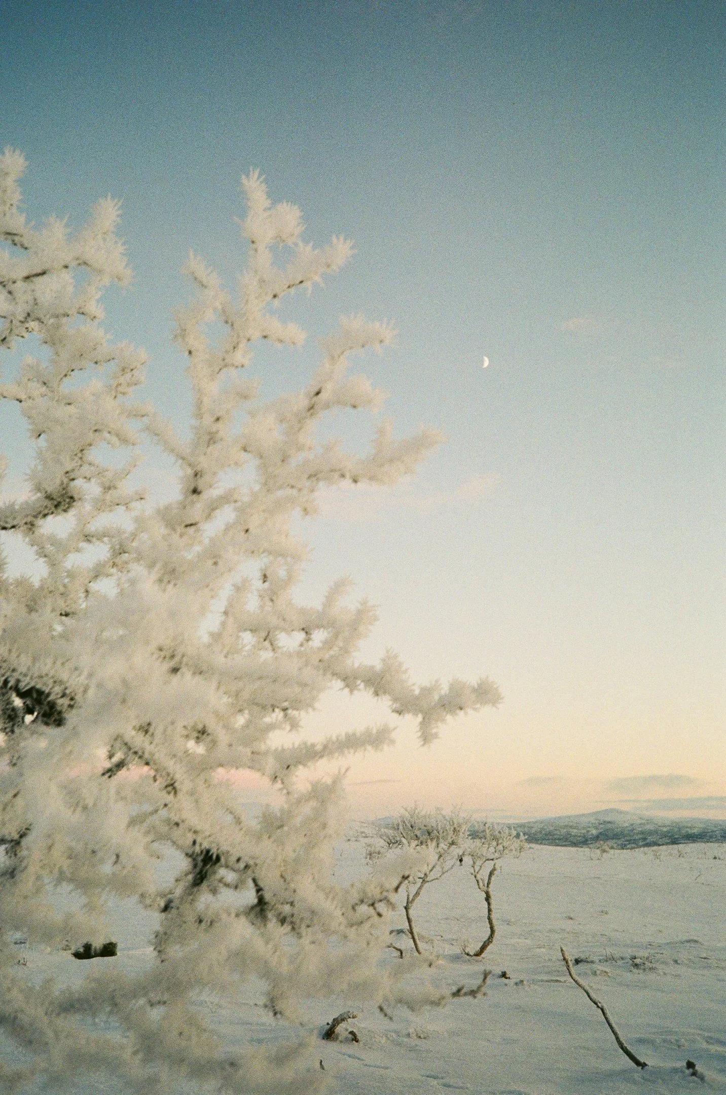 Filmit Nuorgam002471890008.jpg