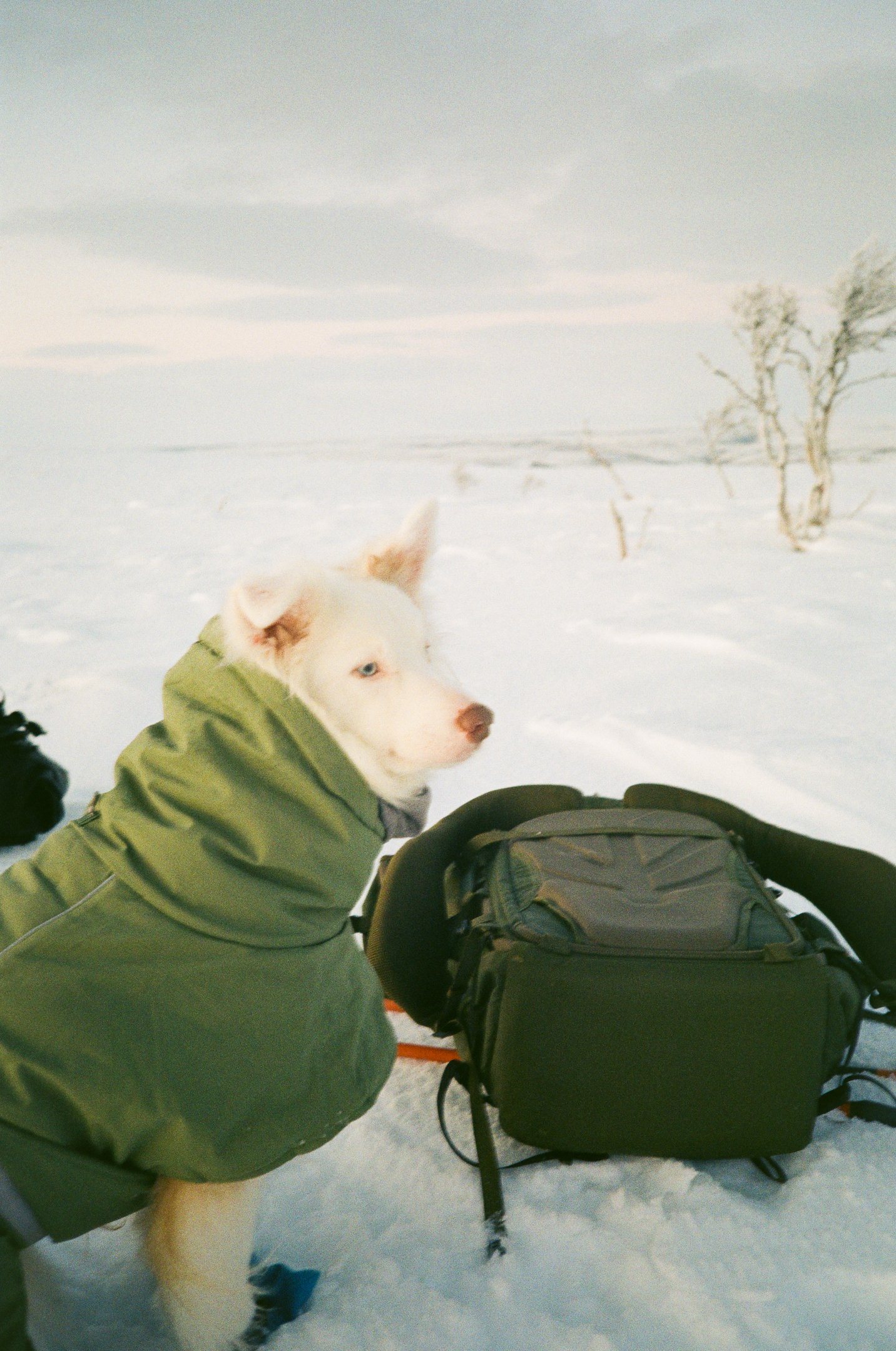 Filmit Nuorgam002471890014.jpg