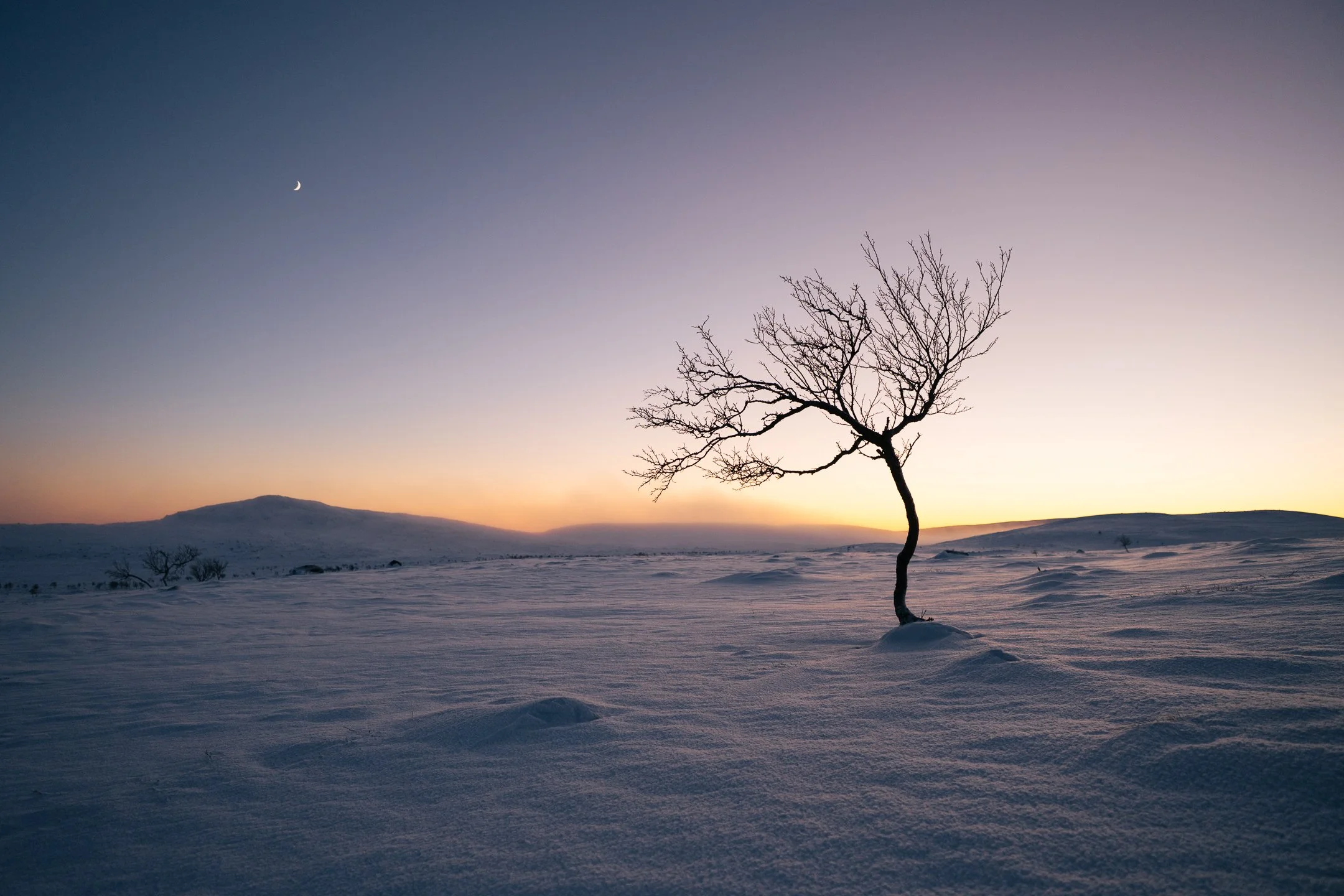 Luontokuvausta Nuorgamissa