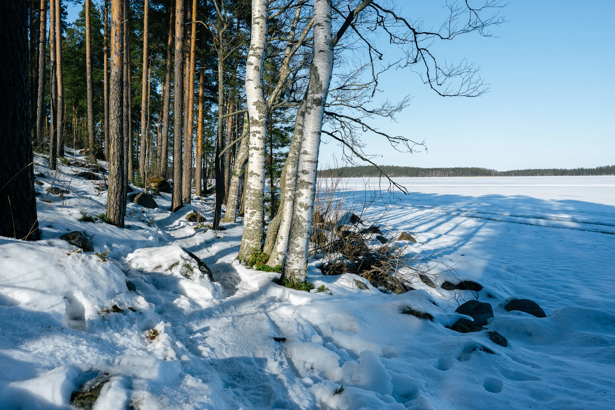 Saimaa Winter Trail - lauantaiDSC_1281.jpg
