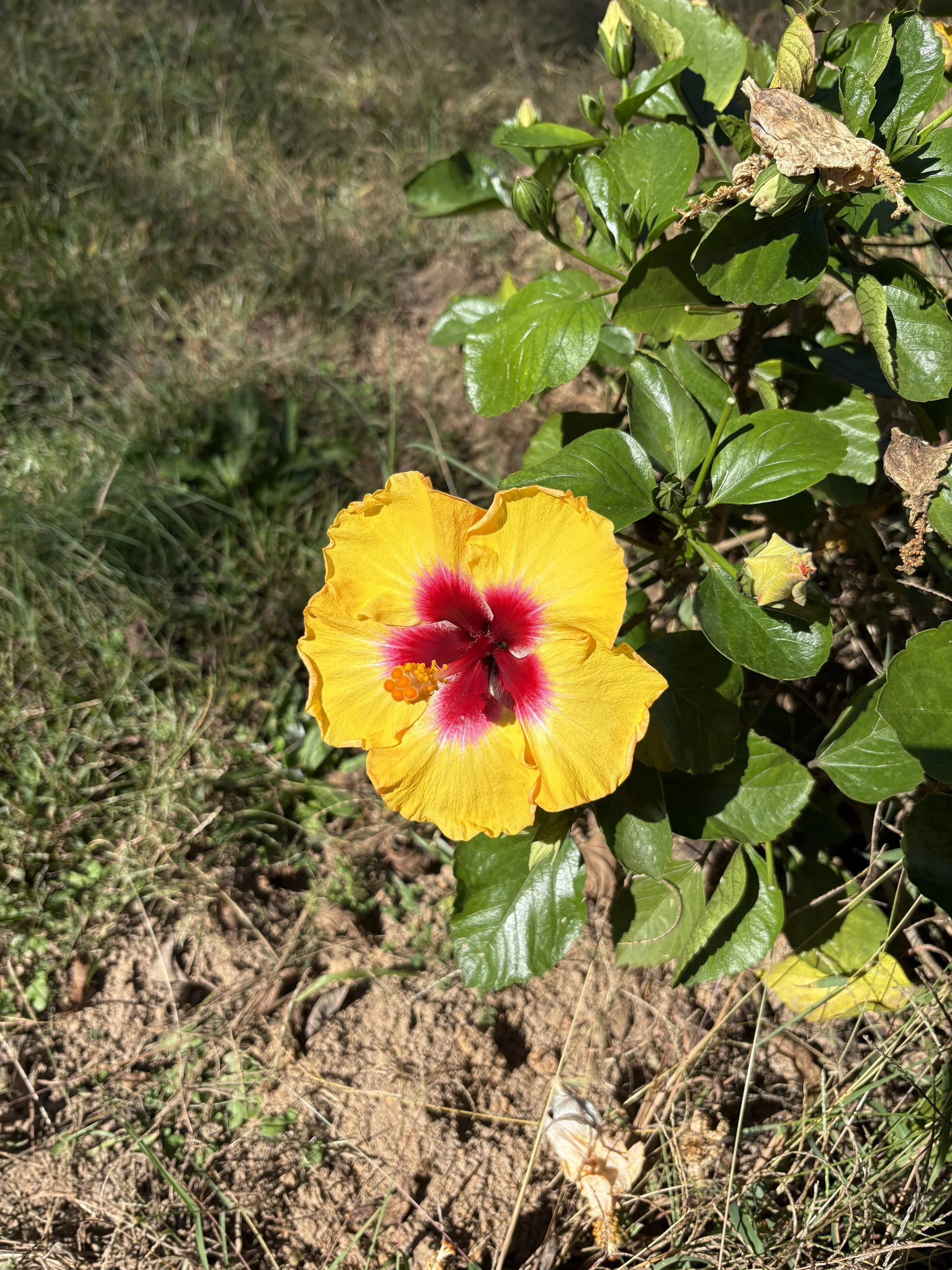 Not Gonna Be Perfect and That’s Okay