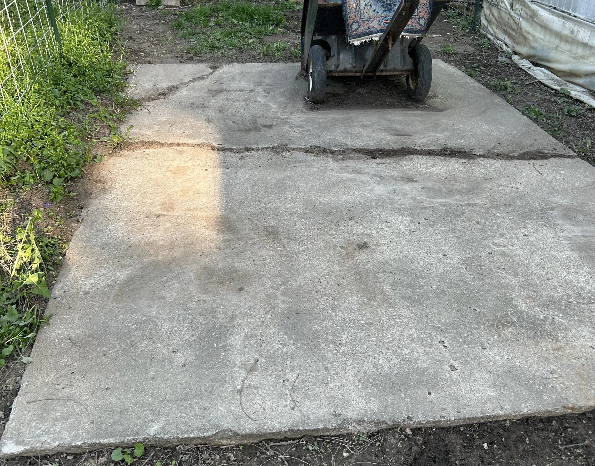 Clean concrete patio after dog poop scooping to show results of work. 