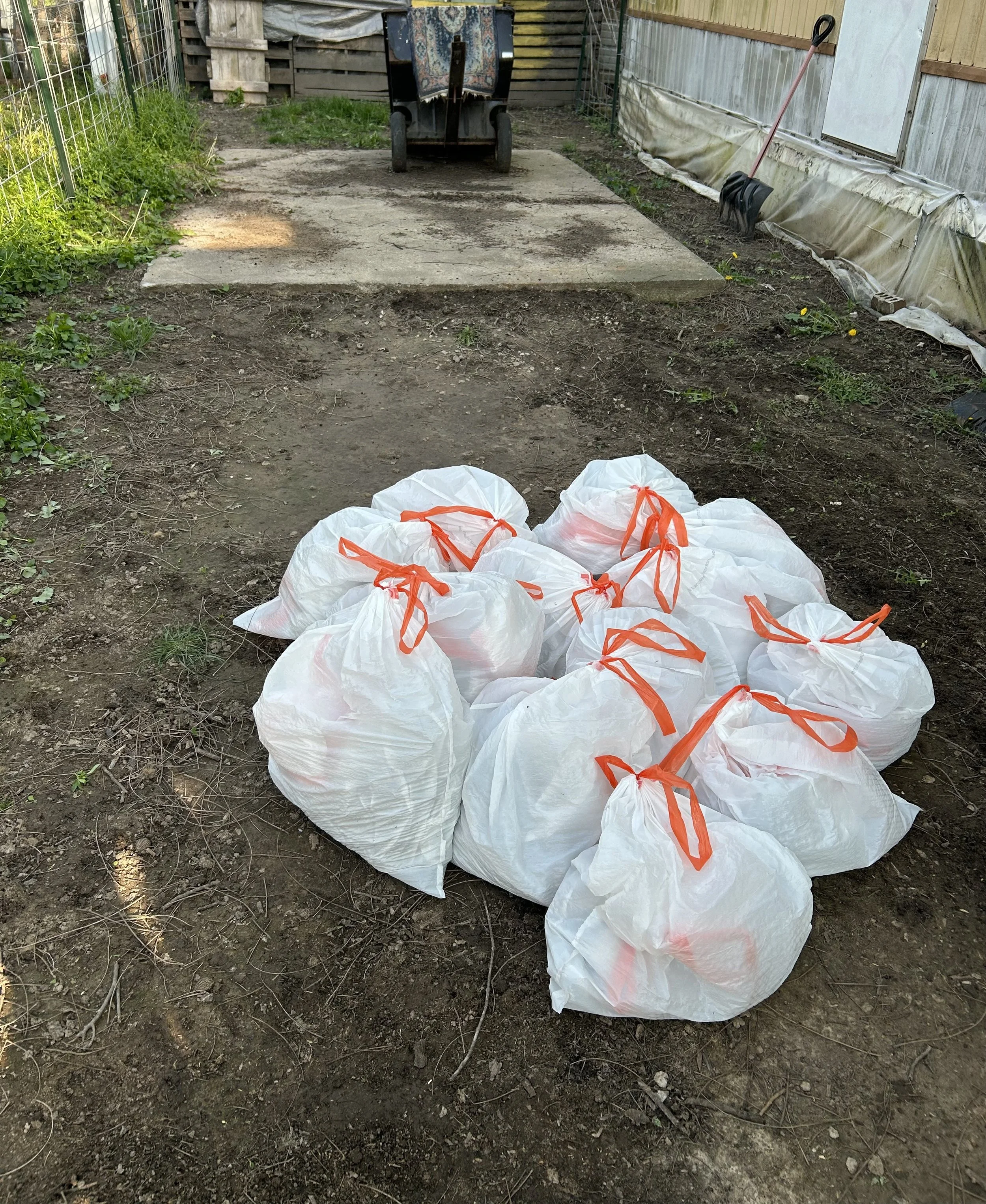 Several white trash bags with orange ties are on a new dirt patch, possibly used for yard work or trash collection, in a backyard or garden area with a concrete slab, a wheelbarrow covered with fabric, and gardening tools leaning against a wall.