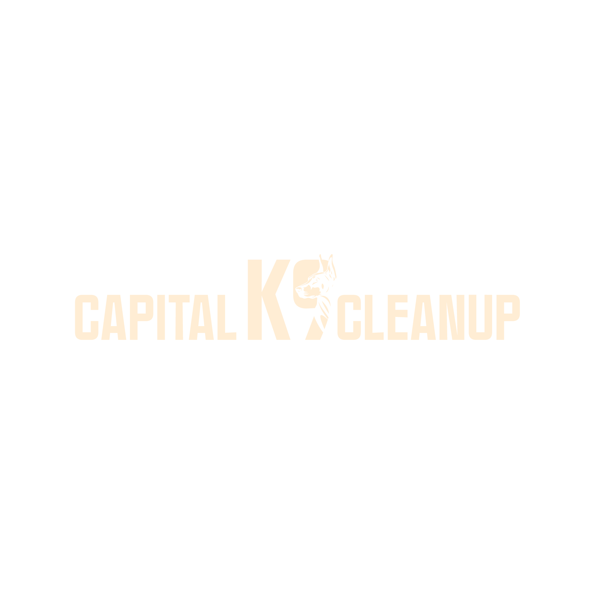 Black logo with a dog silhouette and the text 'CAPITAL K-9 KEEN' in beige on a black background.