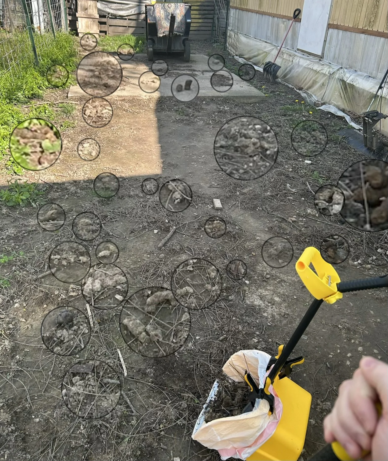A backyard area with a dirt and soil ground, some patches of grass, and gardening tools. There is a small black wheelbarrow, a garden rake leaning against a wall, and a yellow gardening tool with a black handle in the foreground. The right side of th