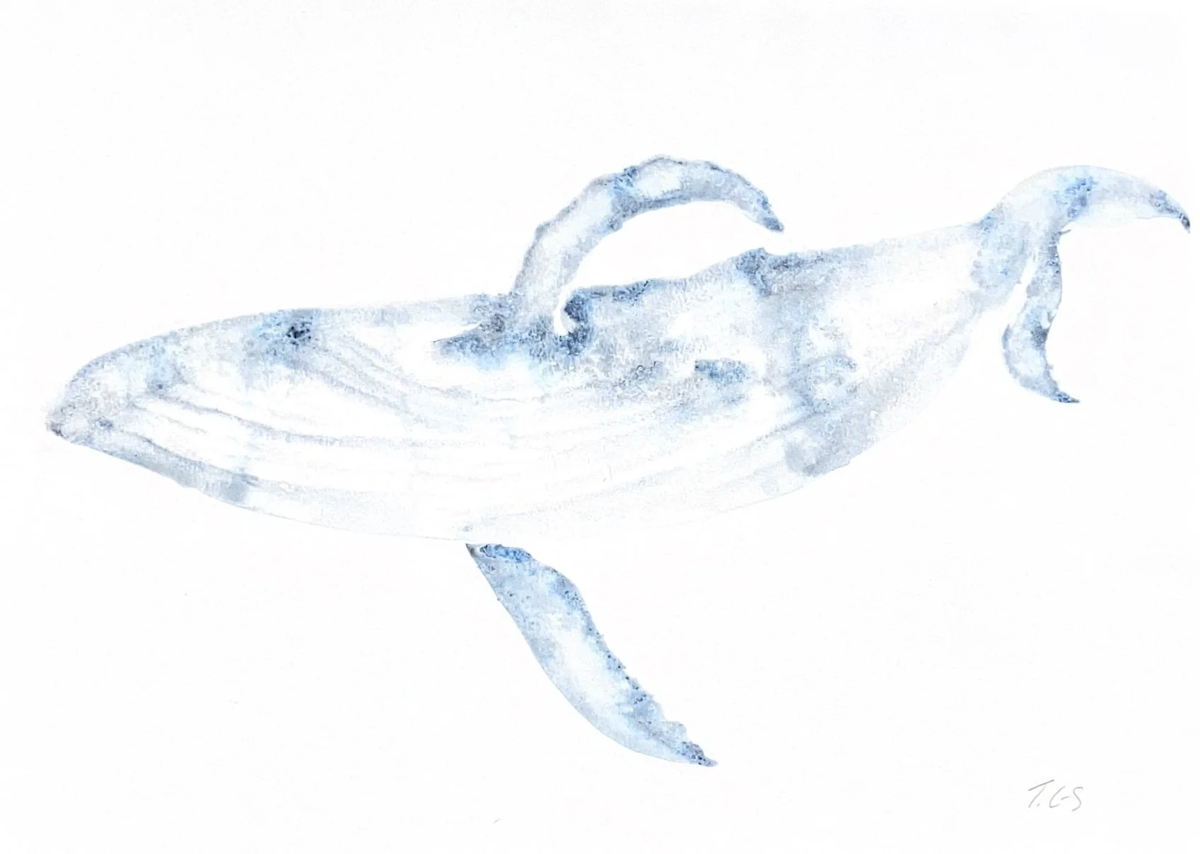Whale 9.jpg
