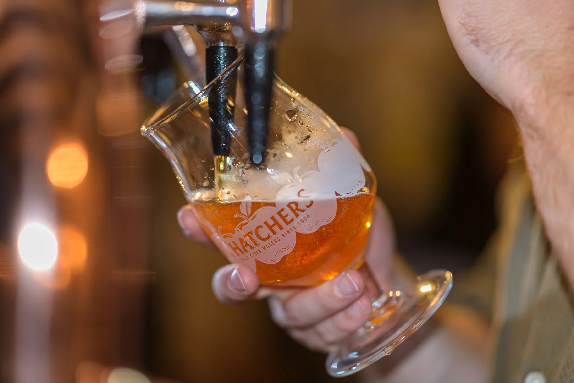 A glass of Thatchers cider being poured on tap, a refreshing choice to enjoy with seasonal dishes