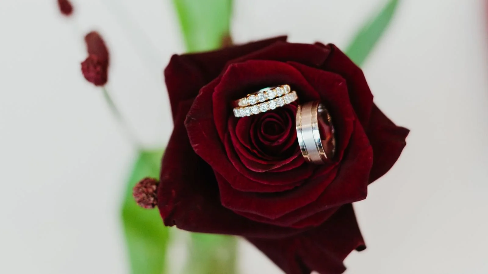 What Are Engagement Photos for Couples [5 Must-Know Facts]