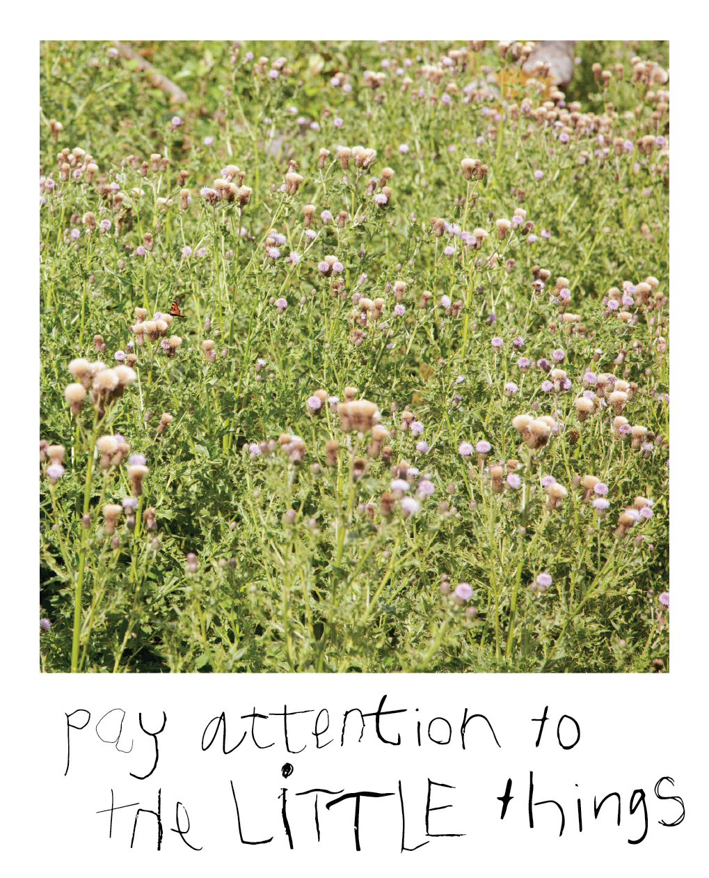 YS_PayAttentionToTheLittleThings.png