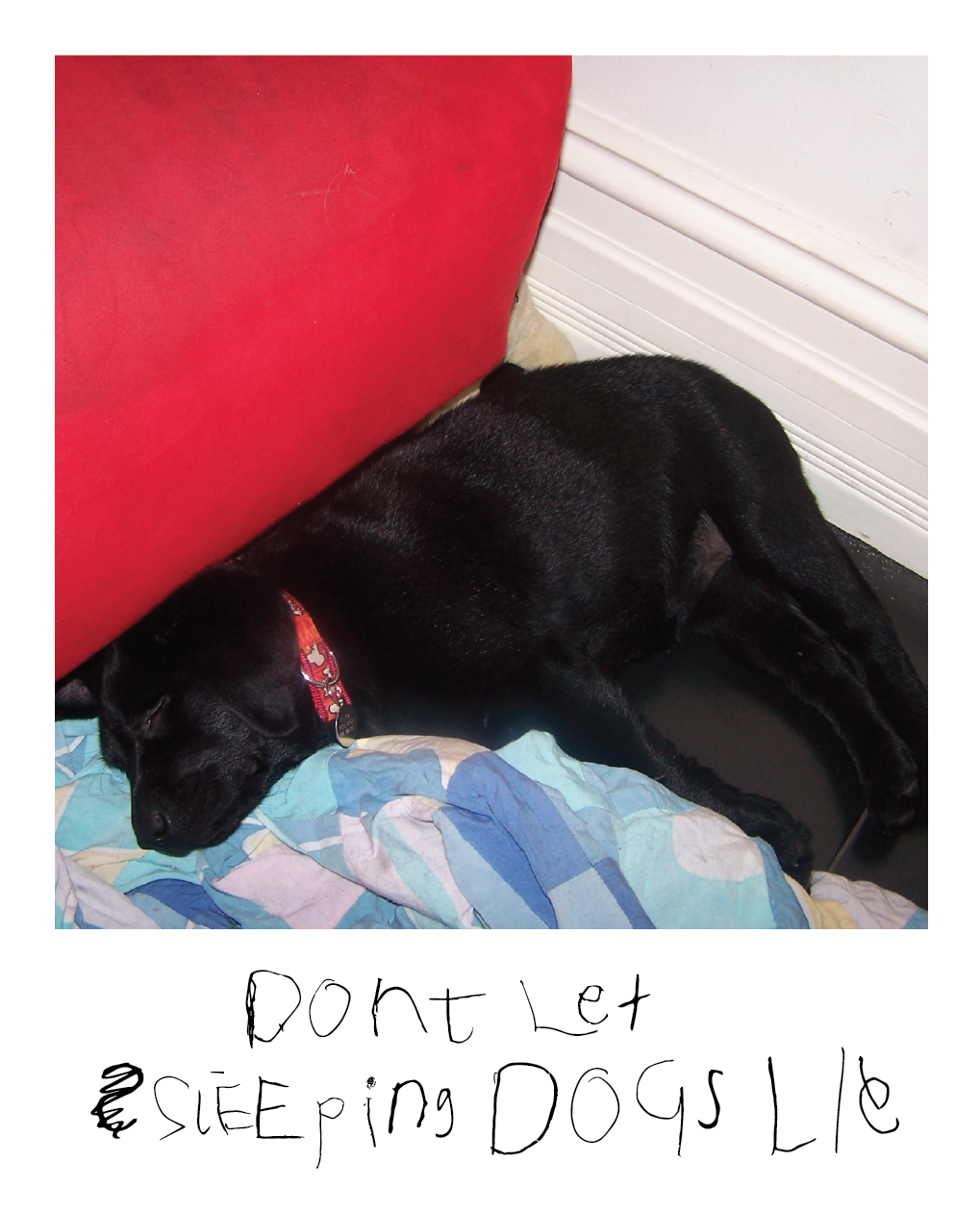 YS_DontLetSleepingDogsLie.png