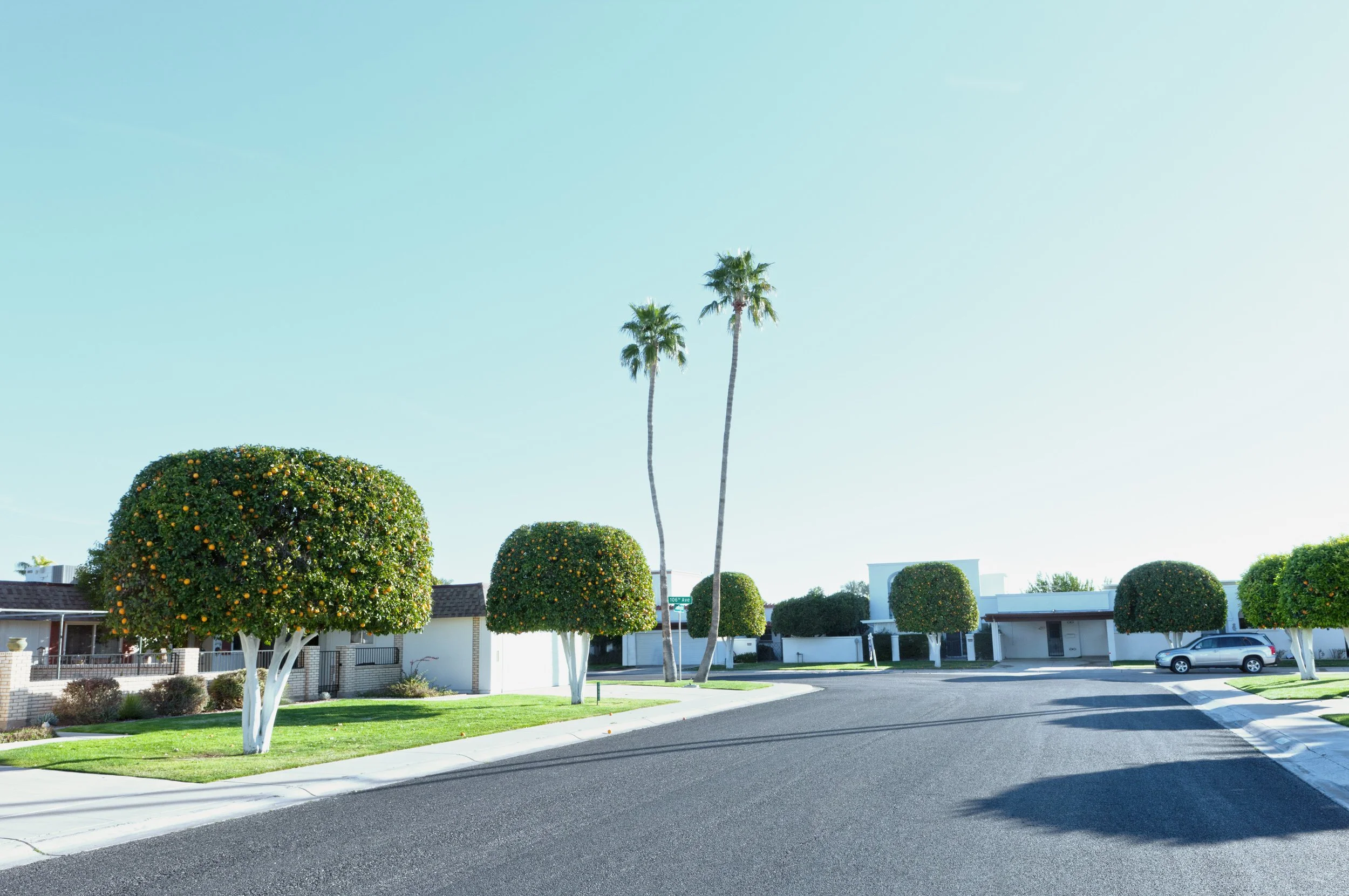 A suburban street with manicured trees, including two tall palm trees and several rounded trees with orange fruits. There are single-story houses and a parked gray car under a clear sky.