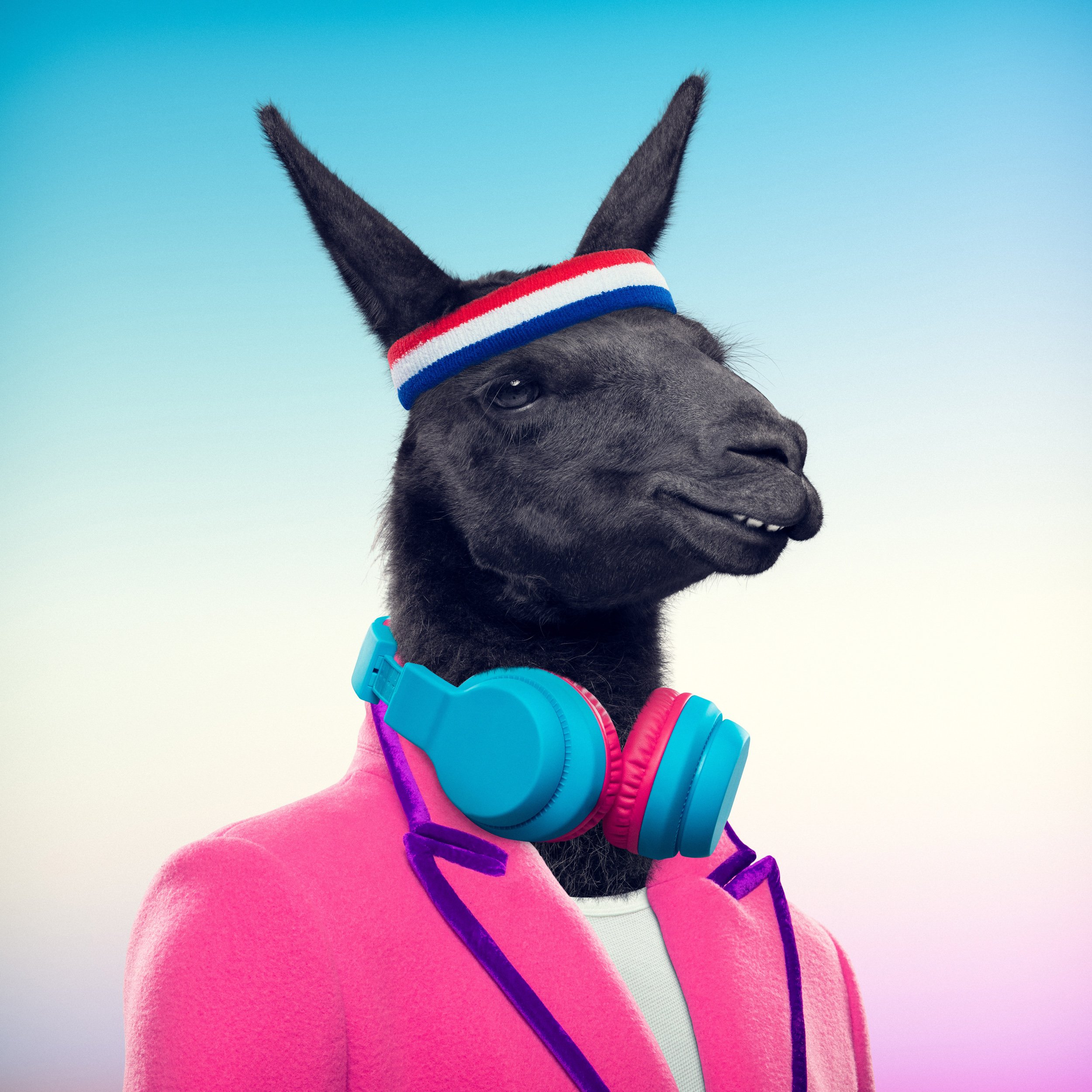 A humanoid figure with the head of a black llama wearing a red, white, and blue striped headband, a pink blazer, and large blue and pink headphones.