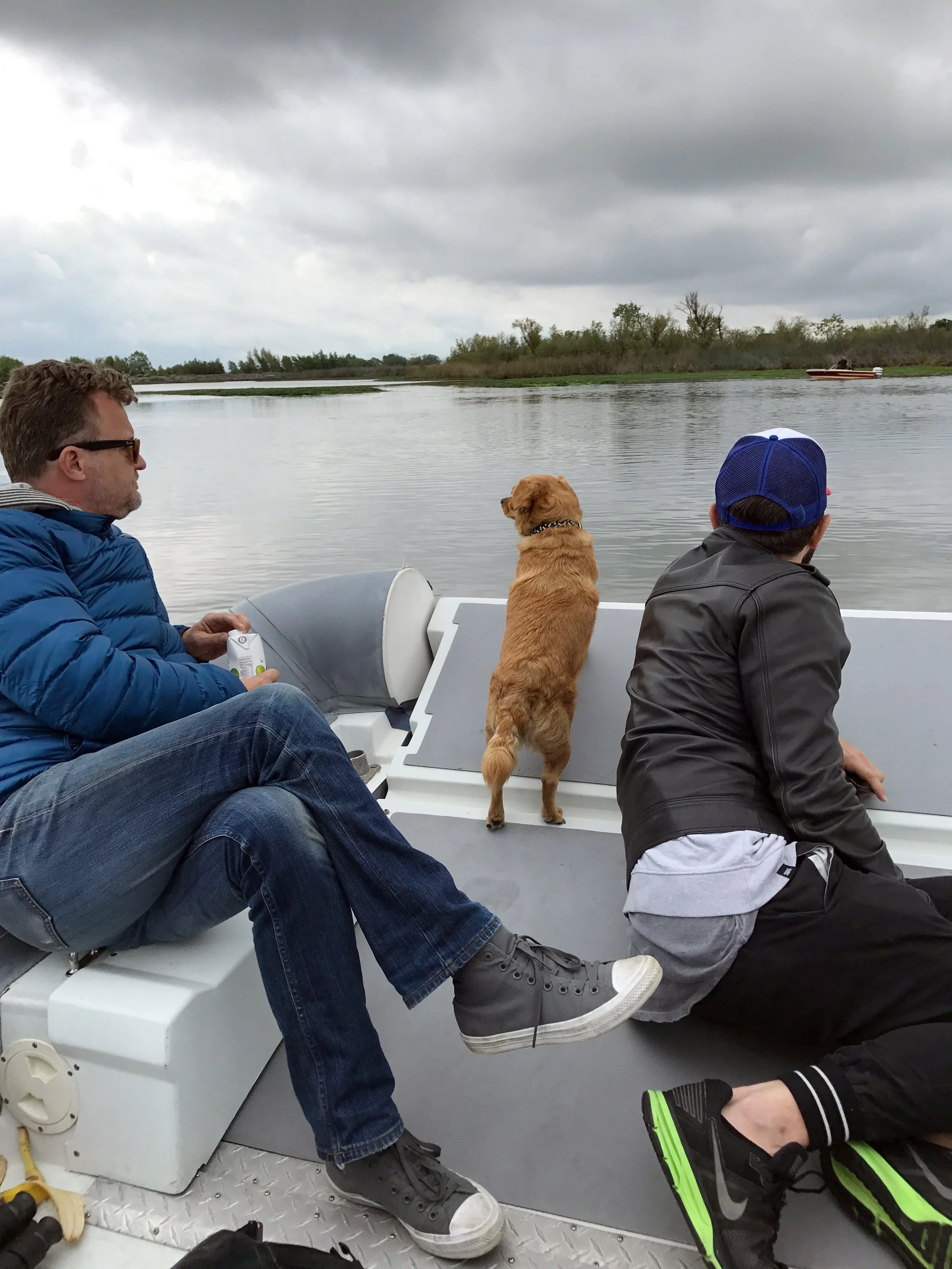Two men and a dog on a boat looking at a body of water with trees in the background. The man on the left wears sunglasses and a blue jacket, the man on the right wears a blue cap and a black jacket, and the dog stands between them looking out over th