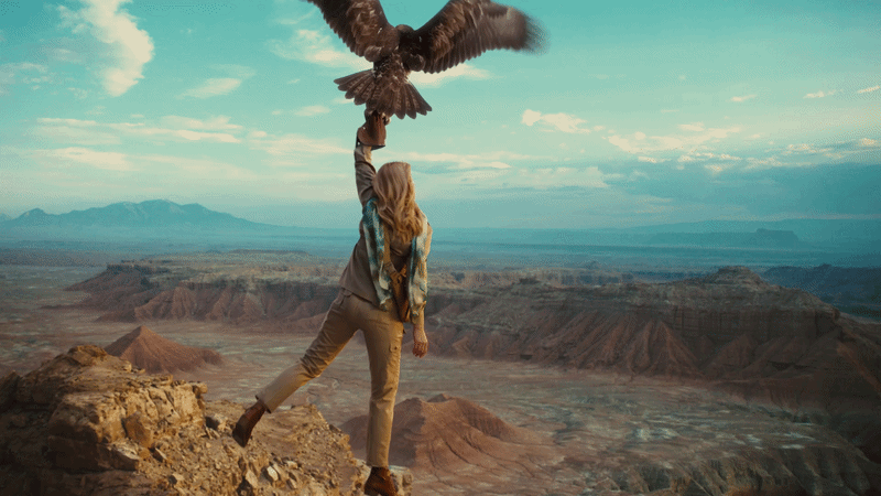 Falcon15_16x9_Generic-ezgif.com-video-to-gif-converter-2sec.gif