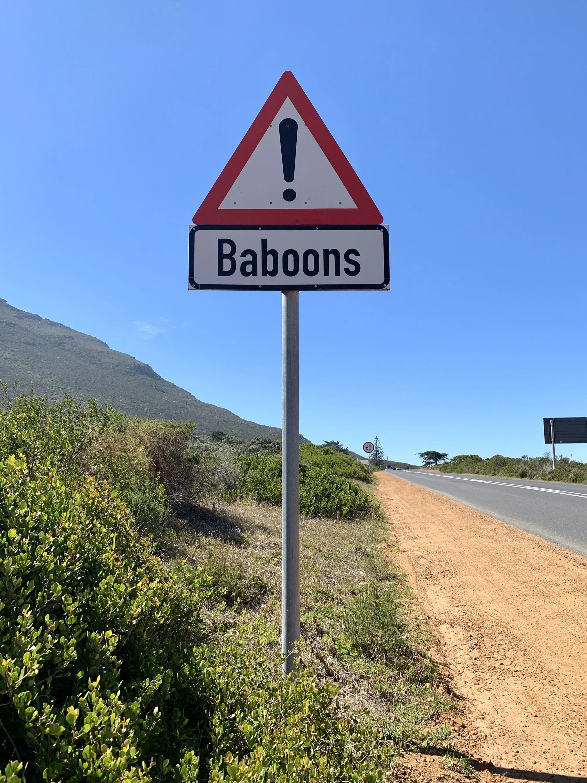 A roadside warning sign with a red triangle and an exclamation mark, with the word 'Baboons' underneath, on a rural highway.