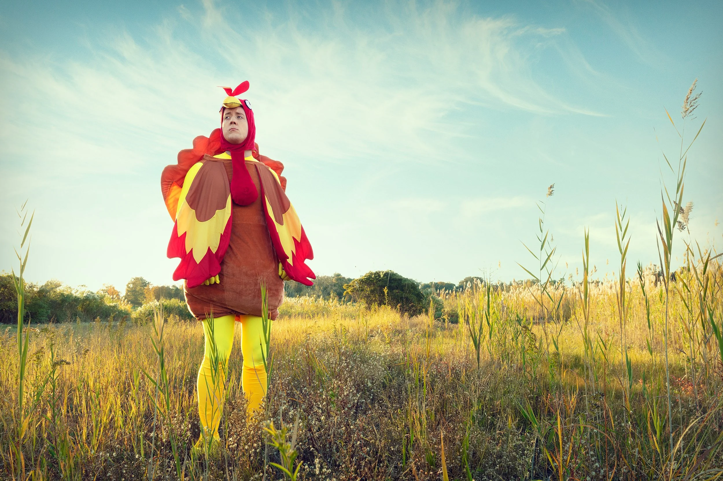 Person dressed in a bird costume standing in a grassy field during daytime.
