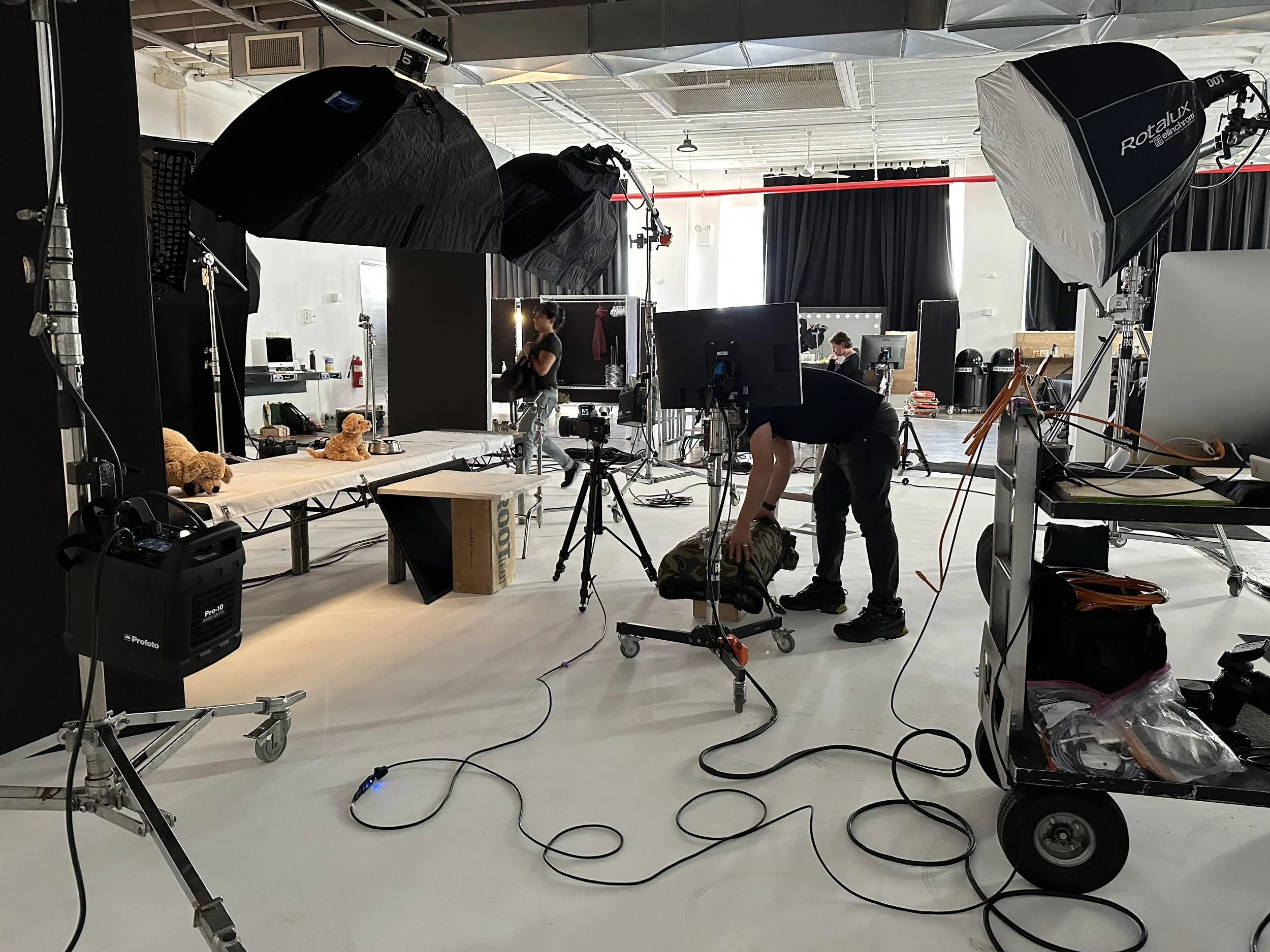 Photography studio setup with lighting equipment and a backdrop, featuring a table with stuffed animals, and crew members preparing for a shoot.