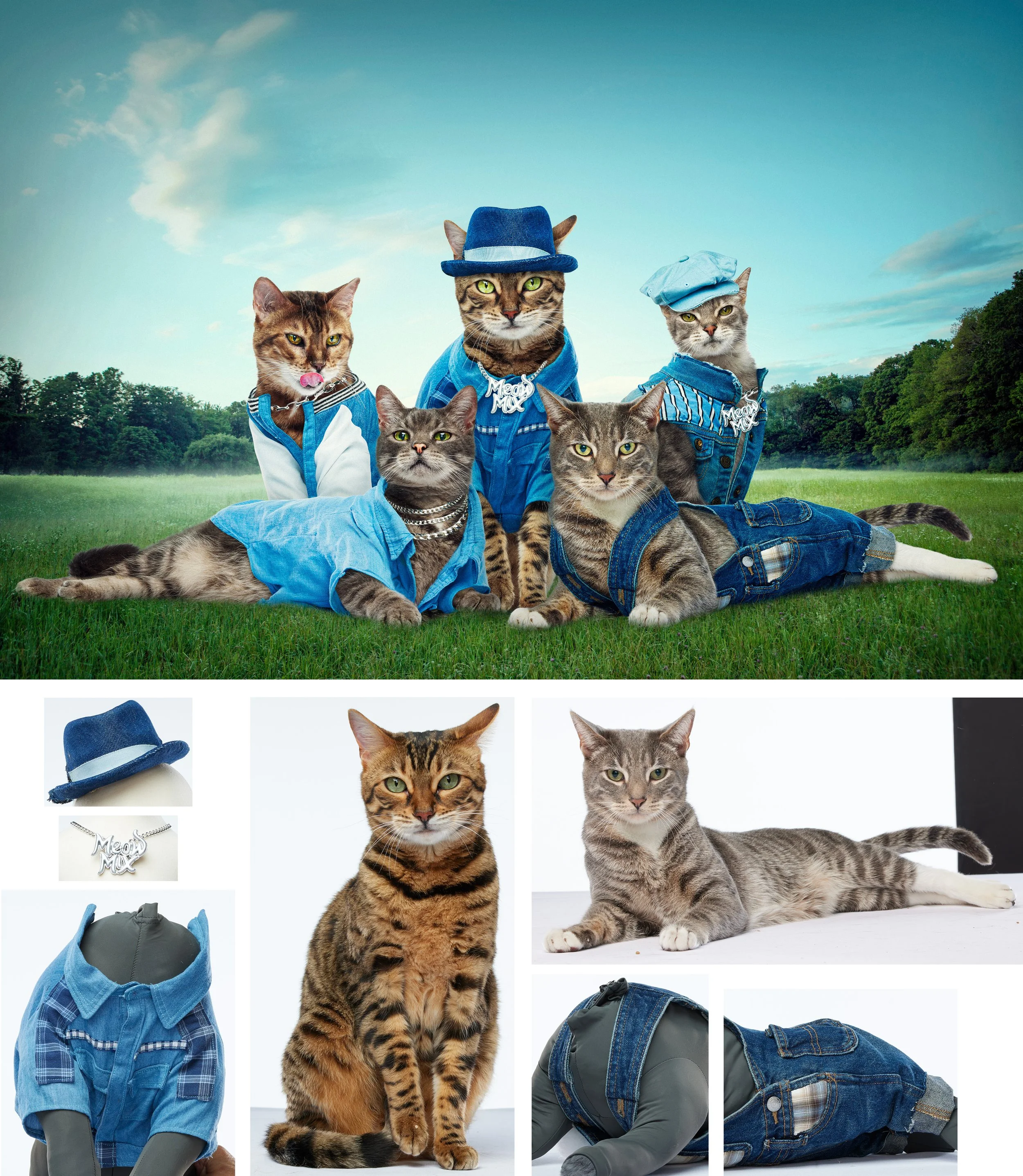 Meow Mix breakdown w bkrnd.jpg