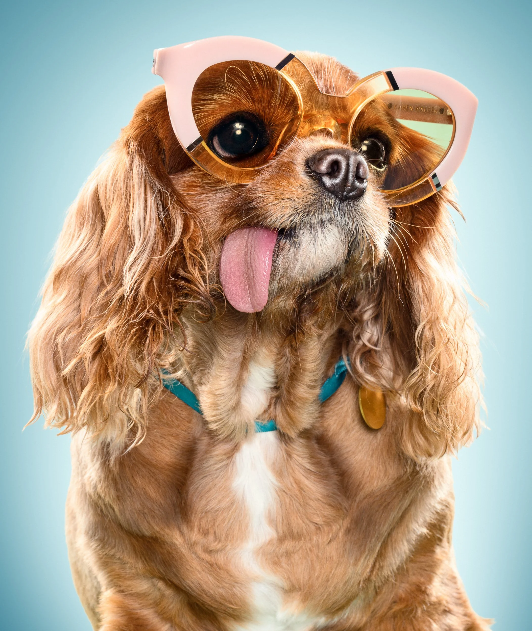 A golden retriever wearing oversized heart-shaped sunglasses with a pink frame, sticking out its tongue, against a light blue background.