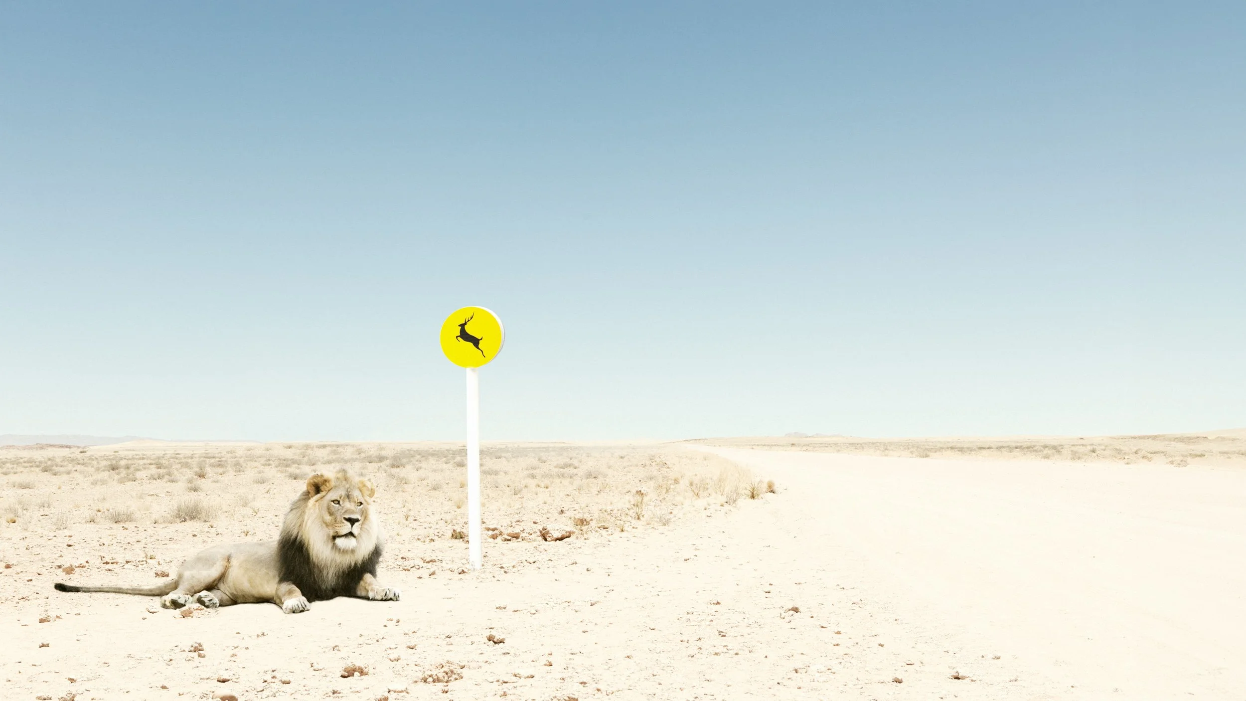 A lion lying on the desert ground next to a yellow road sign with a deer silhouette. The background features a vast, dry desert landscape with a clear blue sky.